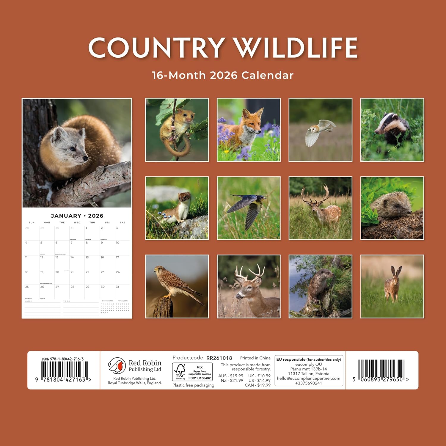 Red Robin 2026 Country Wildlife Monthly Wall Calendar | 12" x 24" Open | Premium Thick & Sturdy Paper | Hangable 12 Month Calendar | Lined Notes & To Do Area | Vivid Images | Plastic Free