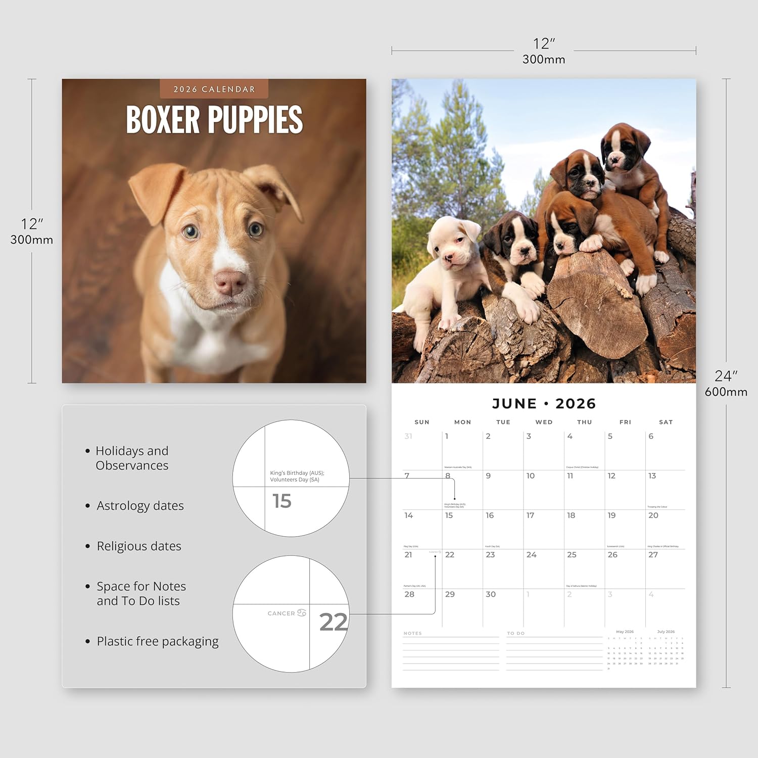 Red Robin 2026 Boxer Puppies Monthly Wall Calendar | 12" x 24" Open | Premium Thick & Sturdy Paper | Hangable 12 Month Calendar | Lined Notes & To Do Area | Vivid Images | Plastic Free