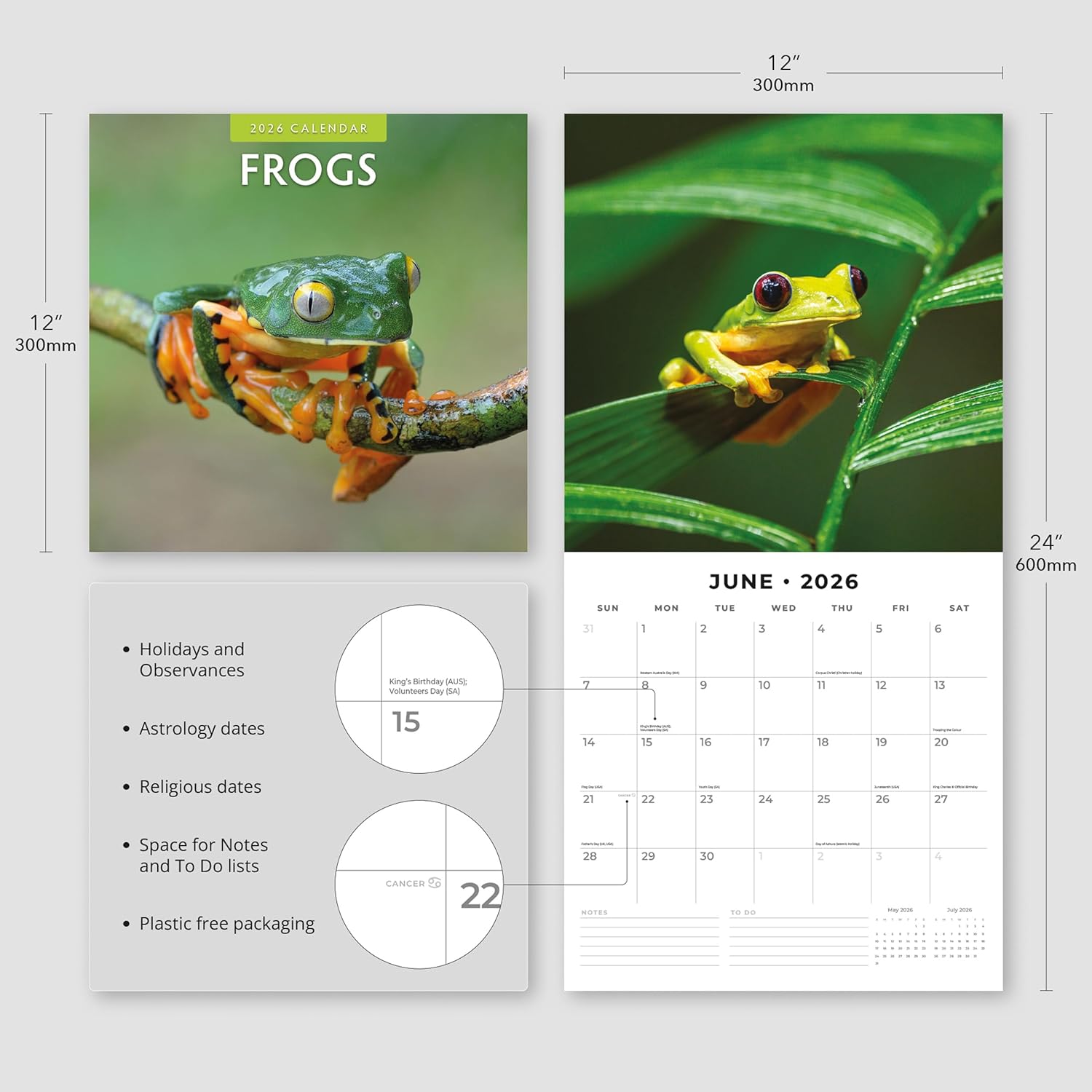 Red Robin 2026 Frogs Monthly Wall Calendar | 12" x 24" Open | Premium Thick & Sturdy Paper | Hangable 12 Month Calendar | Lined Notes & To Do Area | Vivid Images | Plastic Free