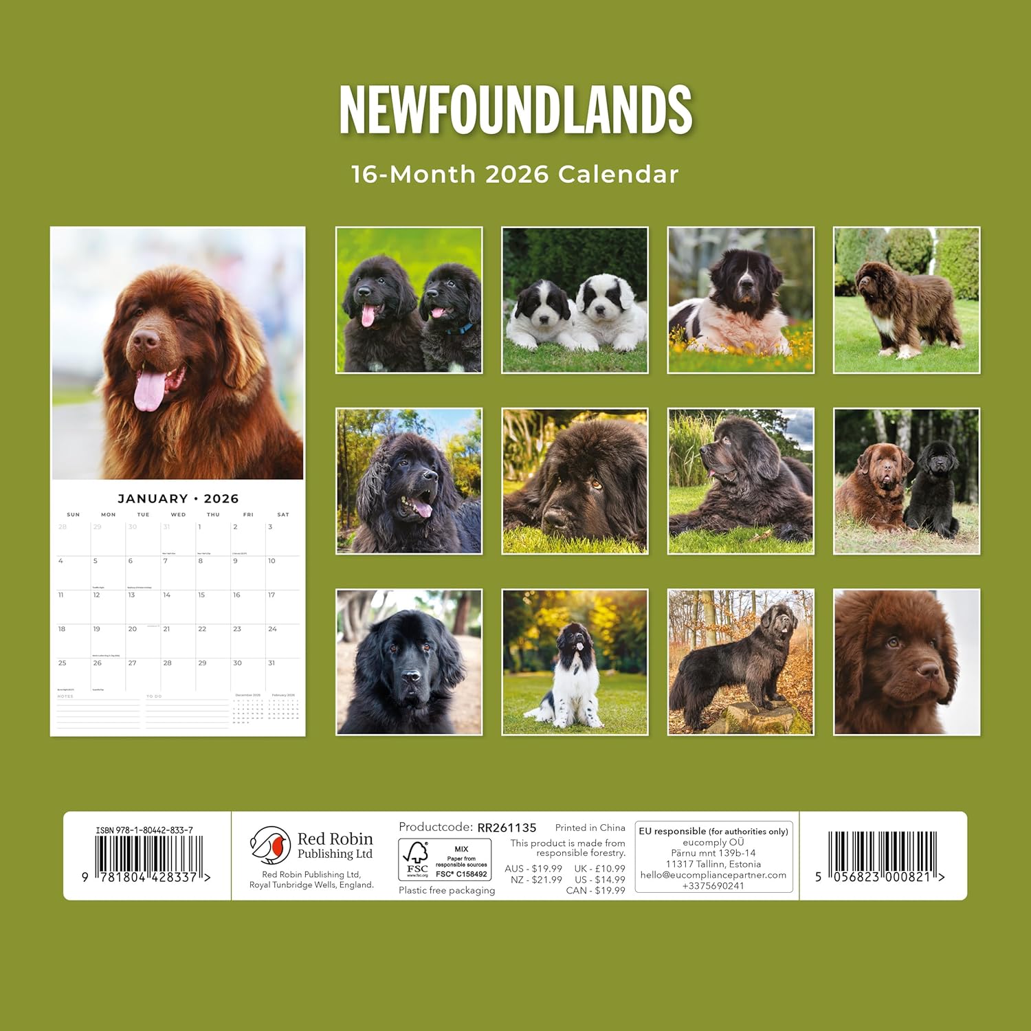Red Robin 2026 Newfoundlands Monthly Wall Calendar | 12" x 24" Open | Premium Thick & Sturdy Paper | Hangable 12 Month Calendar | Lined Notes & To Do Area | Vivid Images | Plastic Free
