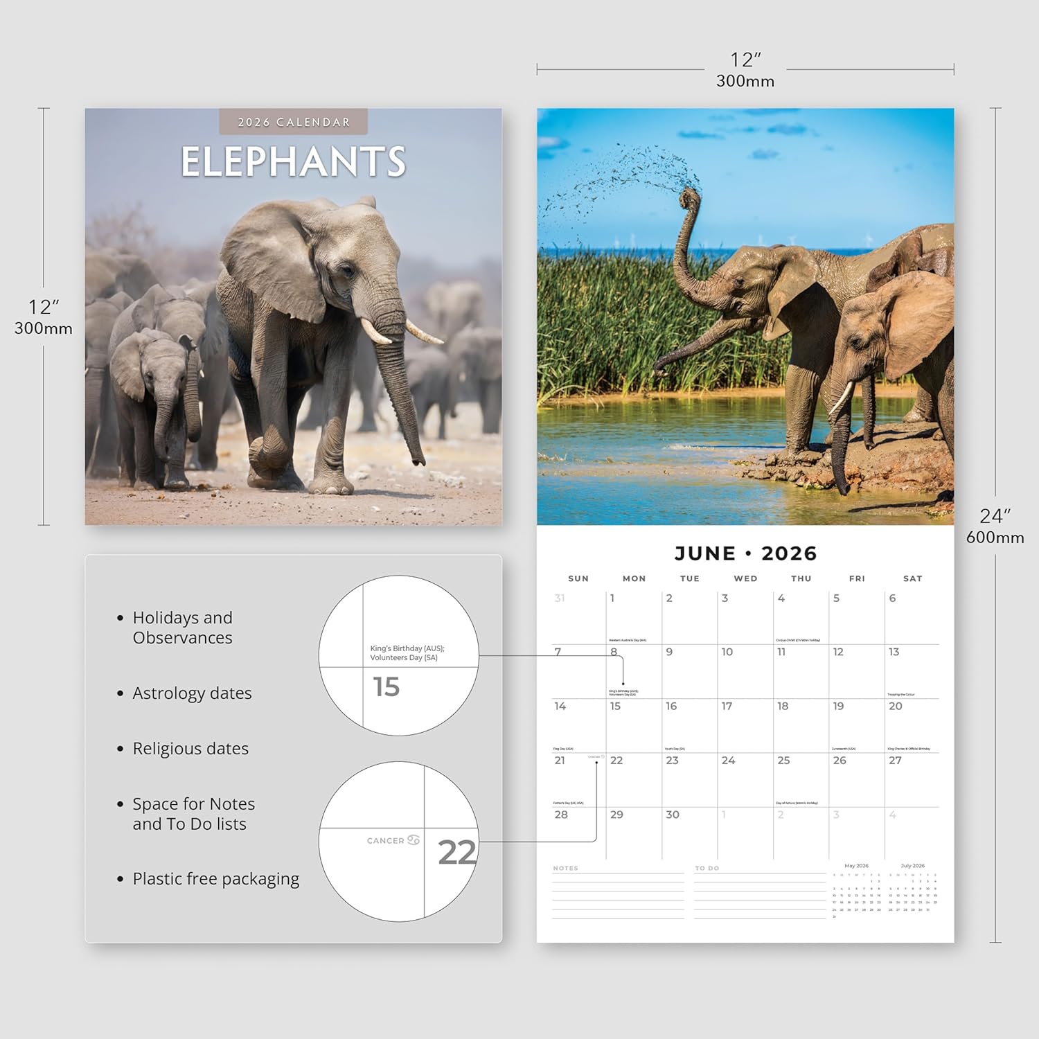 Red Robin 2026 Elephants Monthly Wall Calendar | 12" x 24" Open | Premium Thick & Sturdy Paper | Hangable 12 Month Calendar | Lined Notes & To Do Area | Vivid Images | Plastic Free