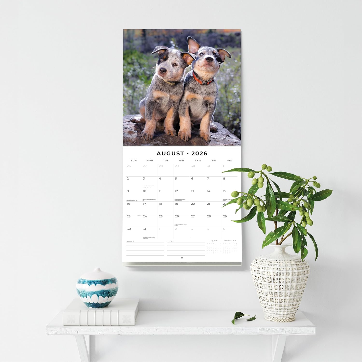 Red Robin 2026 Australian Cattle Dogs Monthly Wall Calendar | 12" x 24" Open | Premium Thick & Sturdy Paper | Hangable 12 Month Calendar | Lined Notes & To Do Area | Vivid Images | Plastic Free