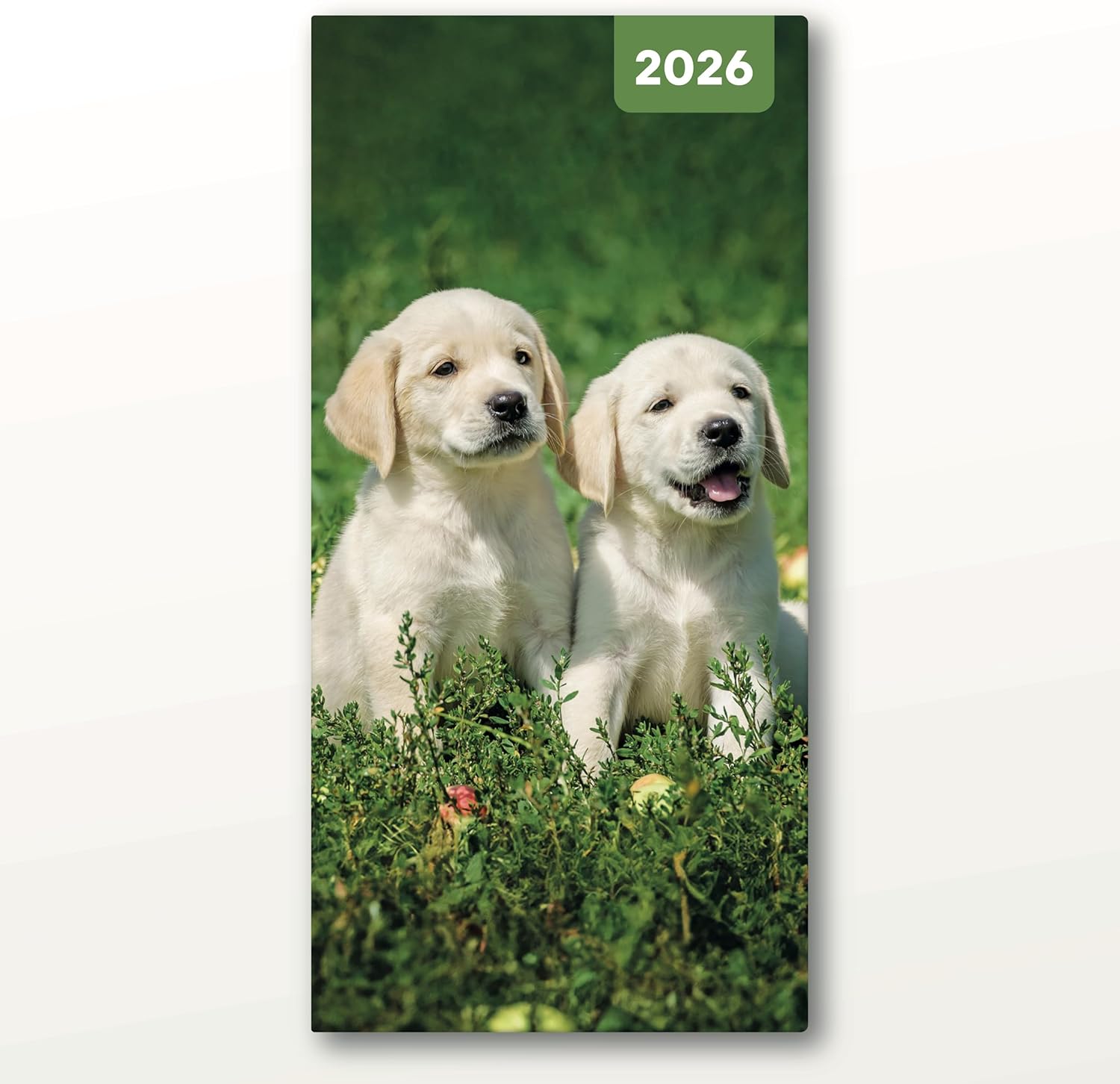 Red Robin 2026 Dogs & Puppies Pocket Weekly Planner, 7" x 3 1/2" | Premium Thick & Sturdy Paper | Full Week View | Plastic Free | Compact Planner