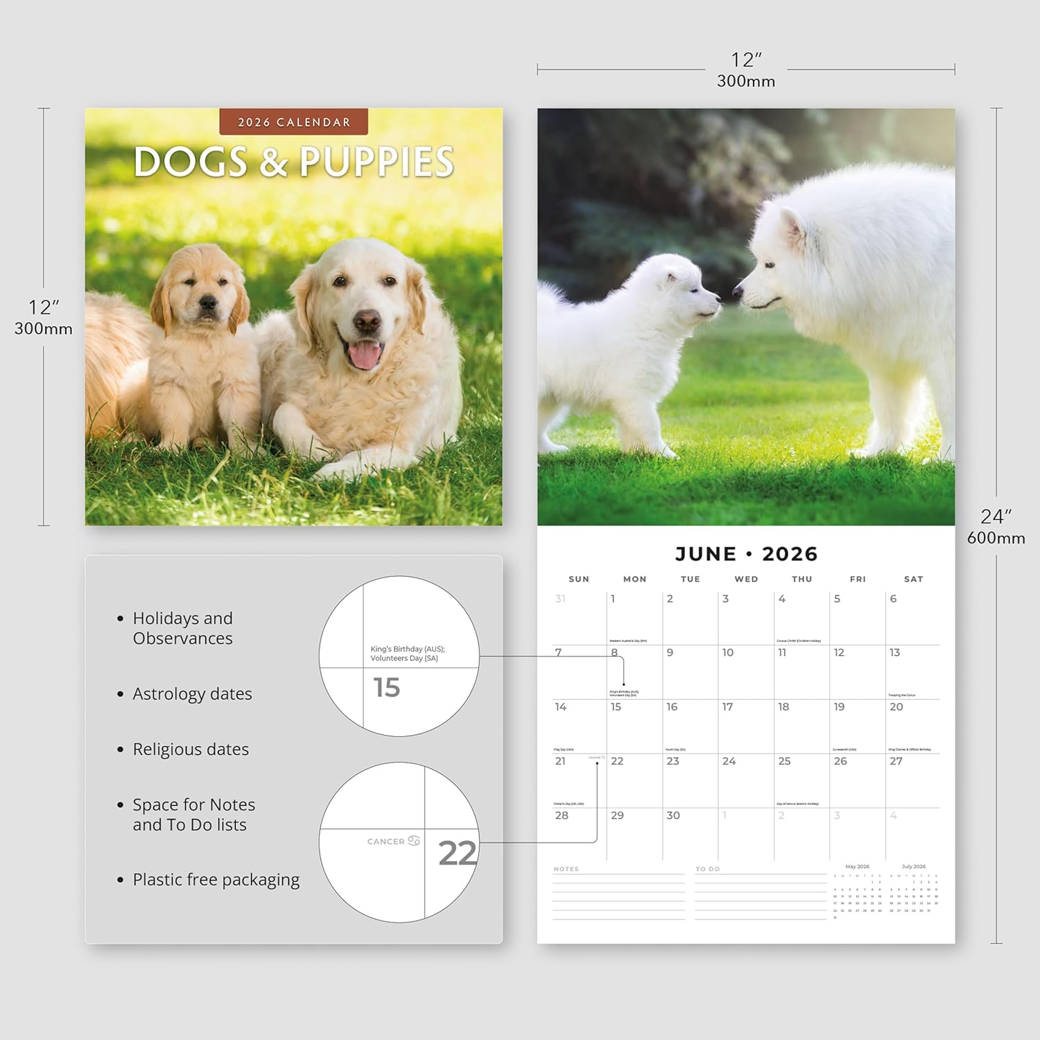 Red Robin 2026 Dogs & Puppies Monthly Wall Calendar | 12" x 24" Open | Premium Thick & Sturdy Paper | Hangable 12 Month Calendar | Lined Notes & To Do Area | Vivid Images | Plastic Free