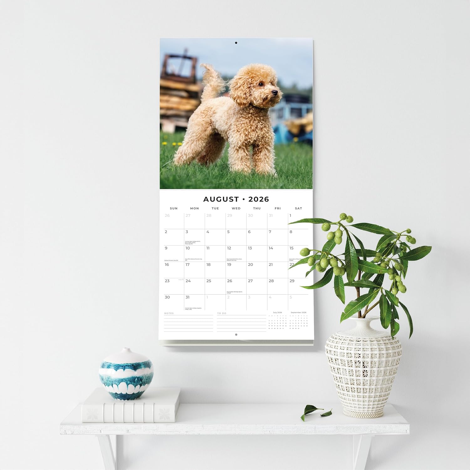 Red Robin 2026 Toy and Miniature Poodles Monthly Wall Calendar | 12" x 24" Open | Premium Thick & Sturdy Paper | Hangable 12 Month Calendar | Lined Notes & To Do Area | Vivid Images | Plastic Free