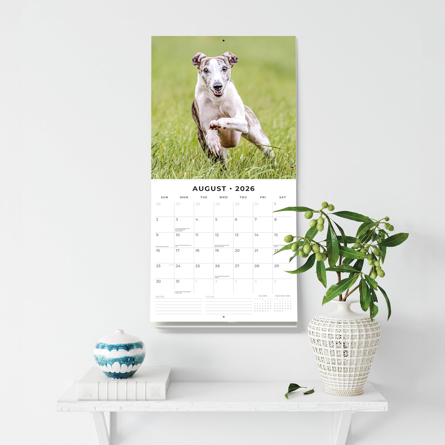 Red Robin 2026 Whippets Monthly Wall Calendar | 12" x 24" Open | Premium Thick & Sturdy Paper | Hangable 12 Month Calendar | Lined Notes & To Do Area | Vivid Images | Plastic Free