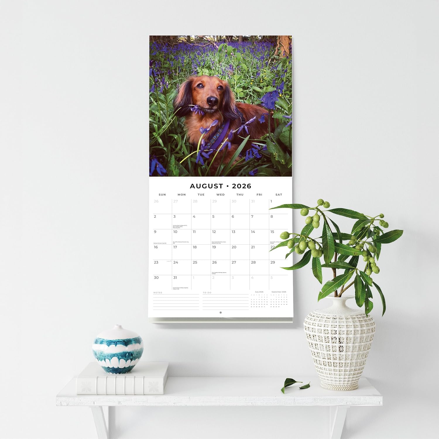 Red Robin 2026 Long-haired Dachshunds Monthly Wall Calendar | 12" x 24" Open | Premium Thick & Sturdy Paper | Hangable 12 Month Calendar | Lined Notes & To Do Area | Vivid Images | Plastic Free