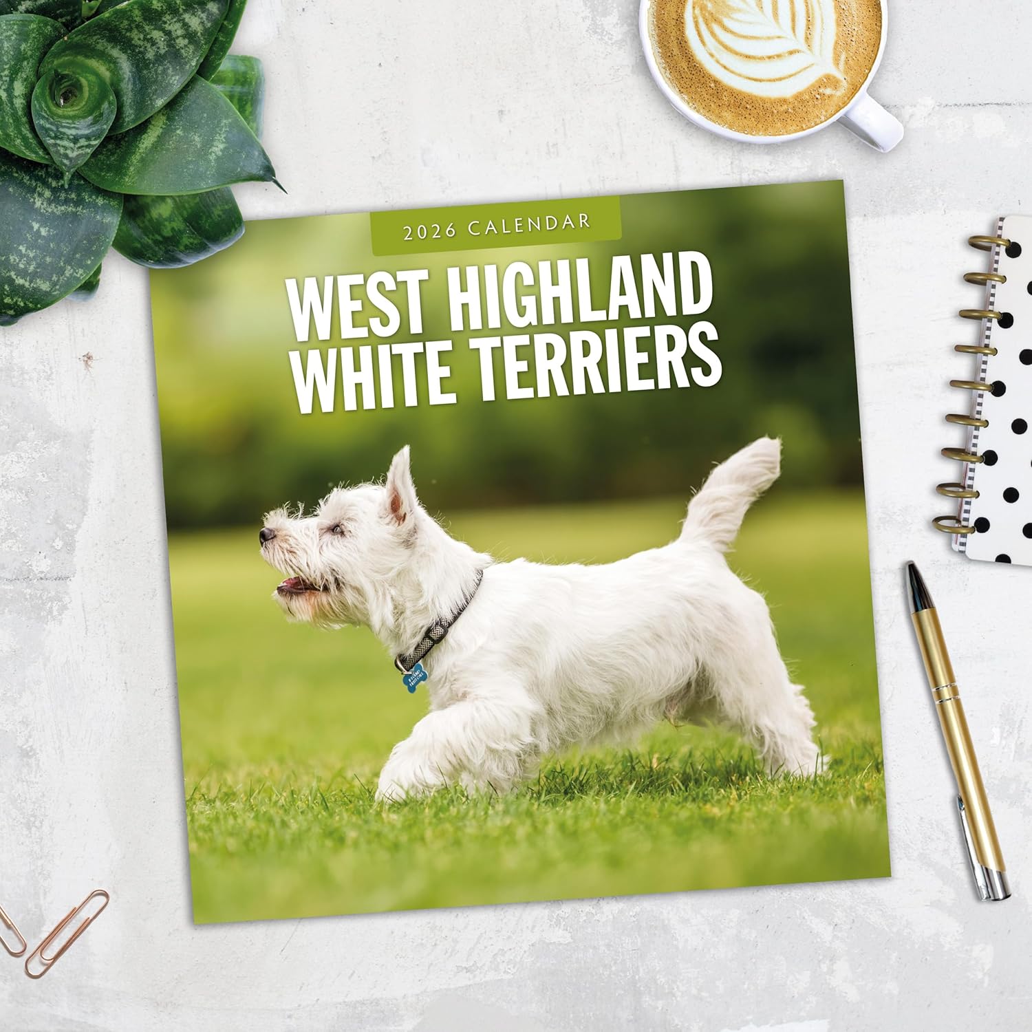 Red Robin 2026 West Highland White Terriers Monthly Wall Calendar | 12" x 24" Open | Premium Thick & Sturdy Paper | Hangable 12 Month Calendar | Lined Notes & To Do Area | Vivid Images | Plastic Free