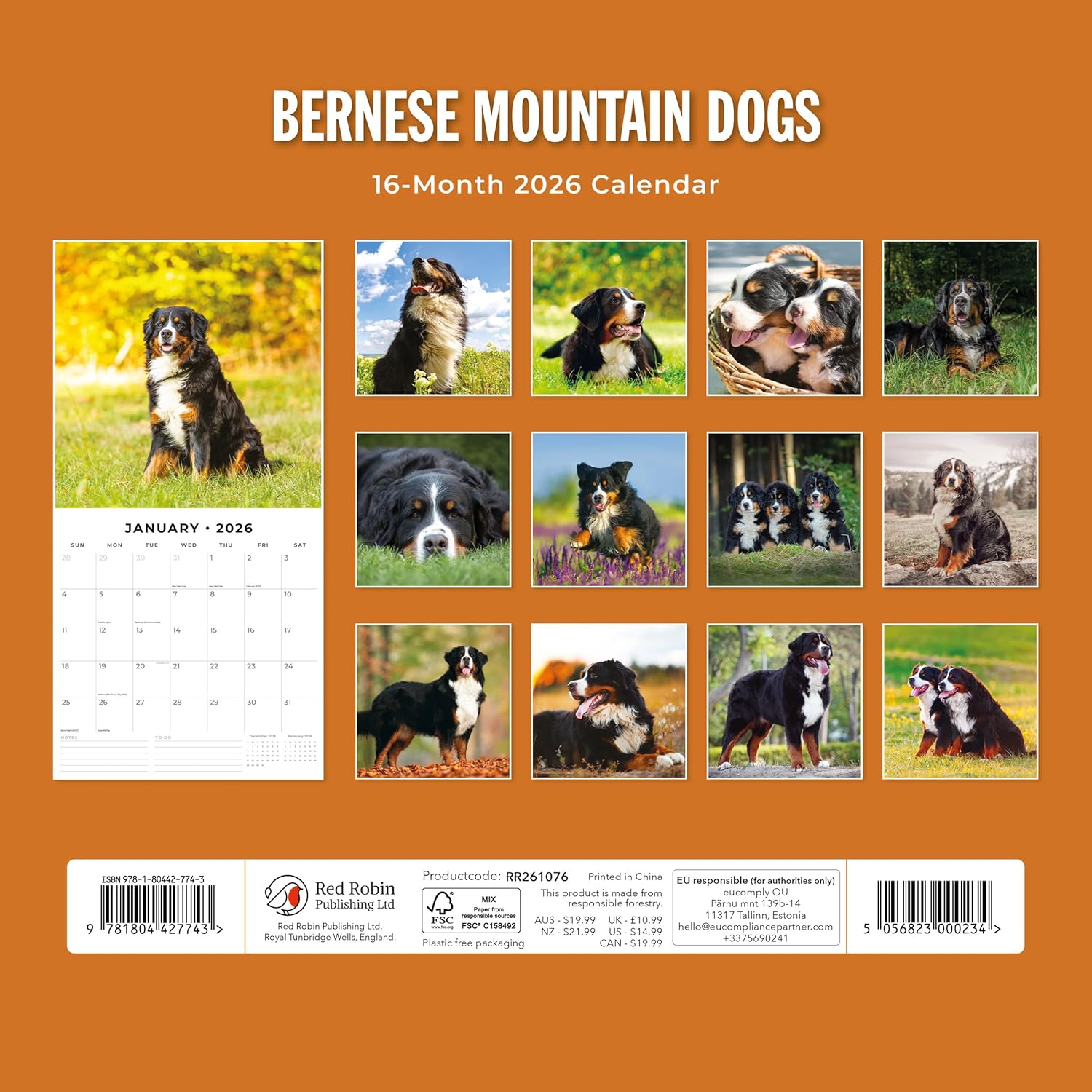 Red Robin 2026 Bernese Mountain Dogs Monthly Wall Calendar | 12" x 24" Open | Premium Thick & Sturdy Paper | Hangable 12 Month Calendar | Lined Notes & To Do Area | Vivid Images | Plastic Free