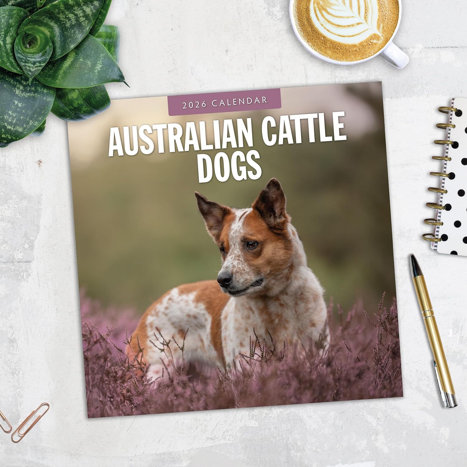 Red Robin 2026 Australian Cattle Dogs Monthly Wall Calendar | 12" x 24" Open | Premium Thick & Sturdy Paper | Hangable 12 Month Calendar | Lined Notes & To Do Area | Vivid Images | Plastic Free
