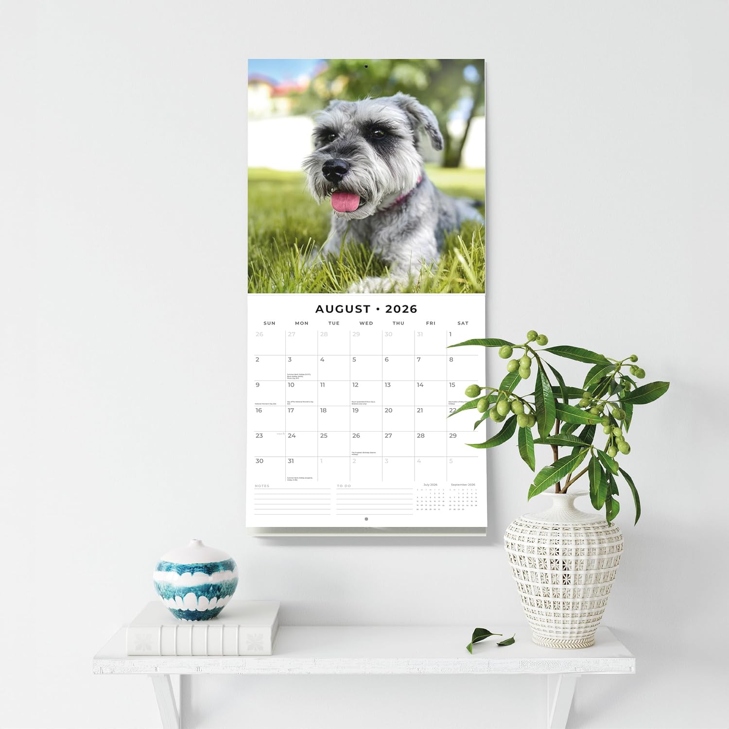 Red Robin 2026 Schnauzers Monthly Wall Calendar | 12" x 24" Open | Premium Thick & Sturdy Paper | Hangable 12 Month Calendar | Lined Notes & To Do Area | Vivid Images | Plastic Free