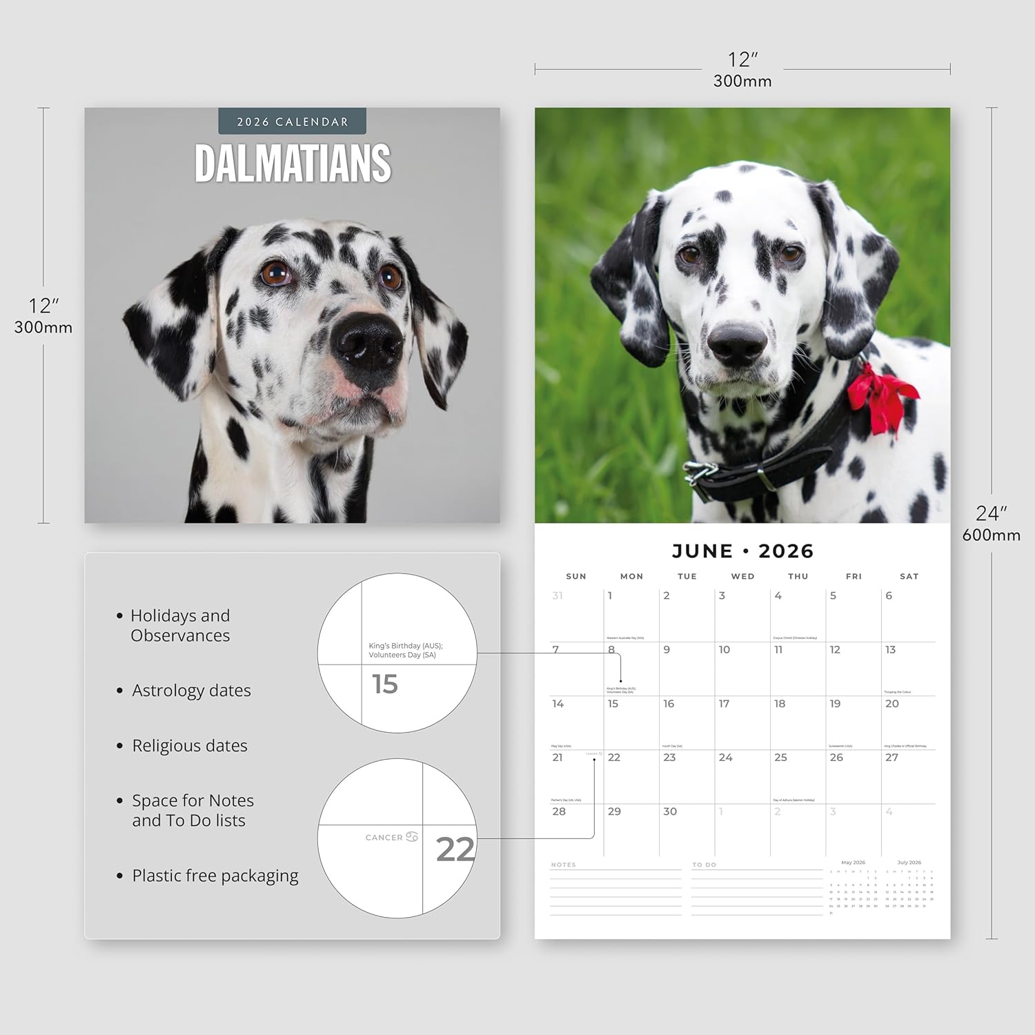 Red Robin 2026 Dalmatians Monthly Wall Calendar | 12" x 24" Open | Premium Thick & Sturdy Paper | Hangable 12 Month Calendar | Lined Notes & To Do Area | Vivid Images | Plastic Free