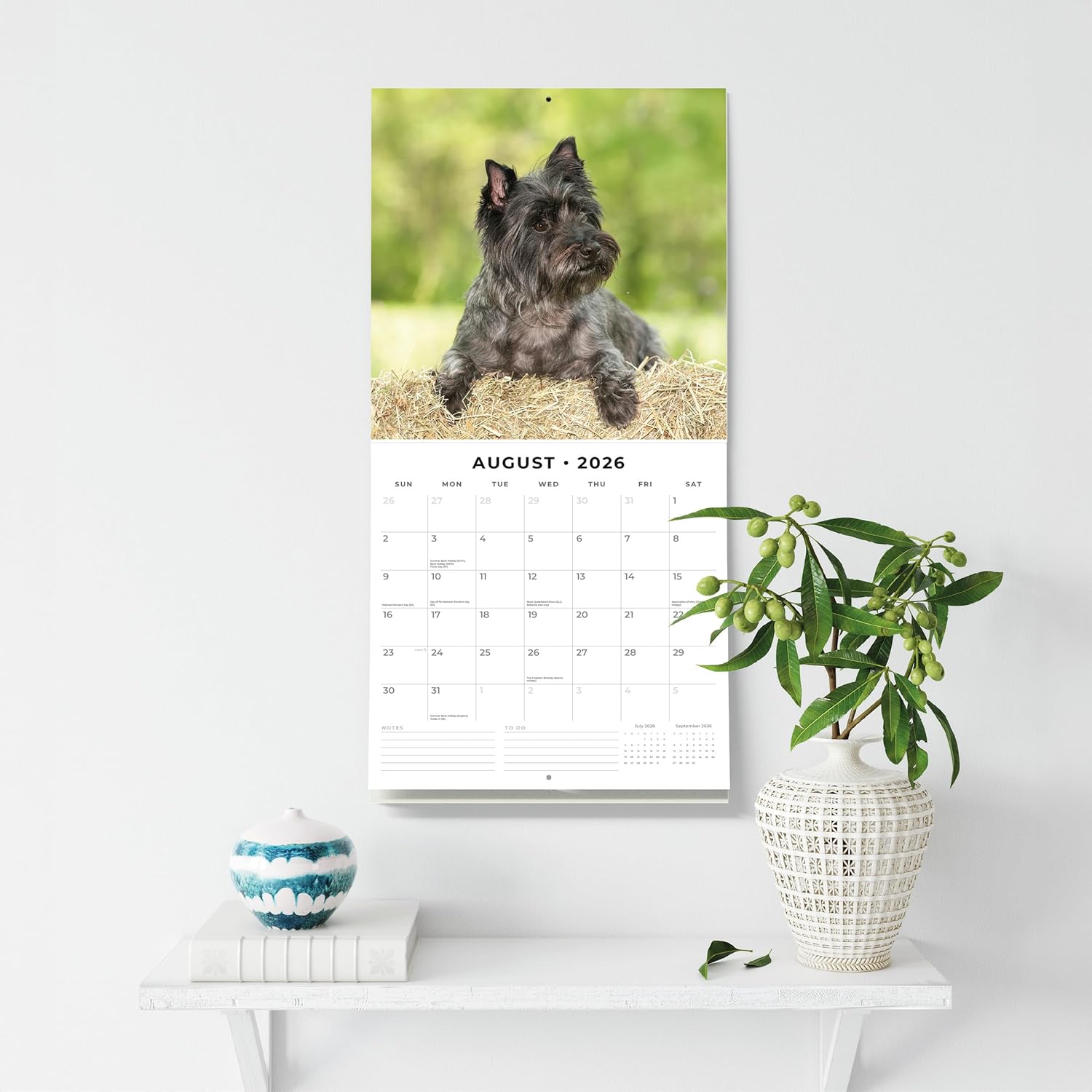 Red Robin 2026 Cairn Terriers Monthly Wall Calendar | 12" x 24" Open | Premium Thick & Sturdy Paper | Hangable 12 Month Calendar | Lined Notes & To Do Area | Vivid Images | Plastic Free