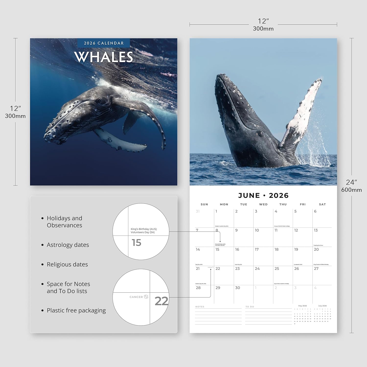 Red Robin 2026 Whales Monthly Wall Calendar | 12" x 24" Open | Premium Thick & Sturdy Paper | Hangable 12 Month Calendar | Lined Notes & To Do Area | Vivid Images | Plastic Free