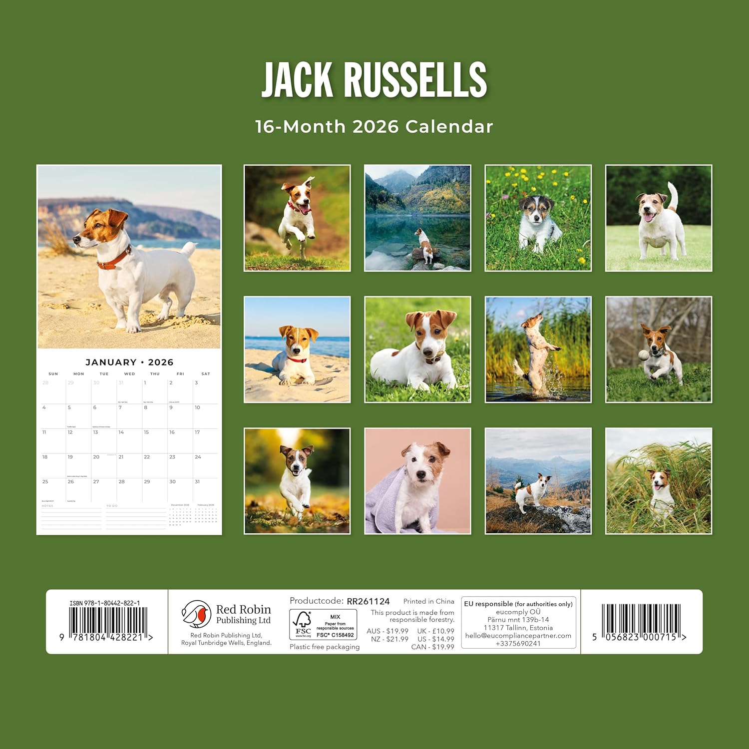 Red Robin 2026 Jack Russells Monthly Wall Calendar | 12" x 24" Open | Premium Thick & Sturdy Paper | Hangable 12 Month Calendar | Lined Notes & To Do Area | Vivid Images | Plastic Free