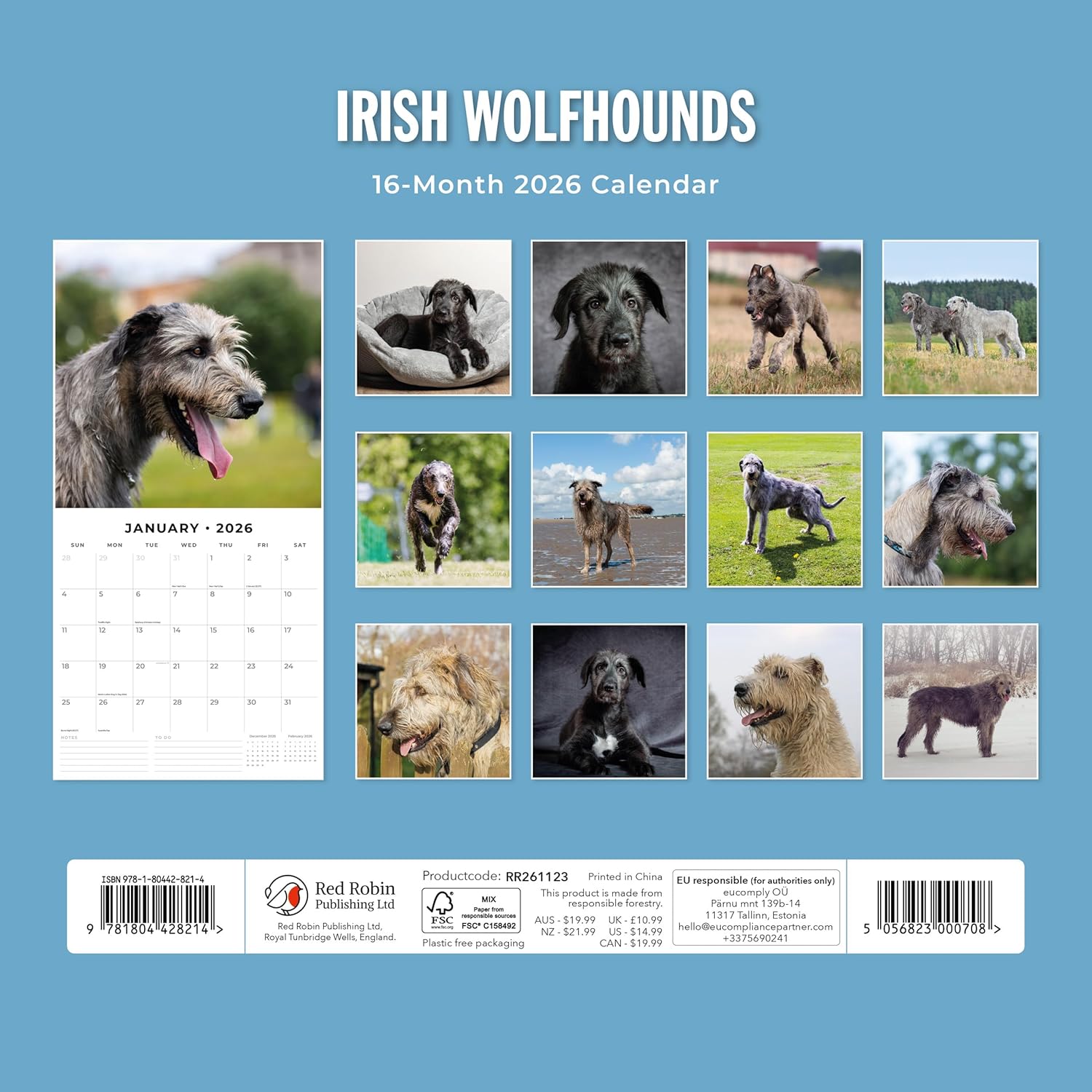 Red Robin 2026 Irish Wolf Hounds Monthly Wall Calendar | 12" x 24" Open | Premium Thick & Sturdy Paper | Hangable 12 Month Calendar | Lined Notes & To Do Area | Vivid Images | Plastic Free
