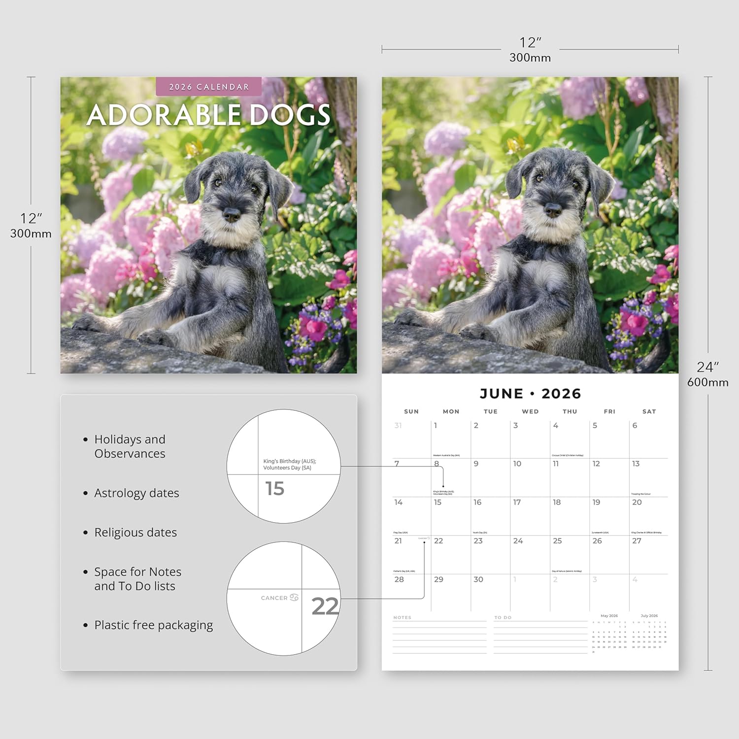 Adorable Dogs - 2026 Square Wall Calendar - by Red Robin Publishing
