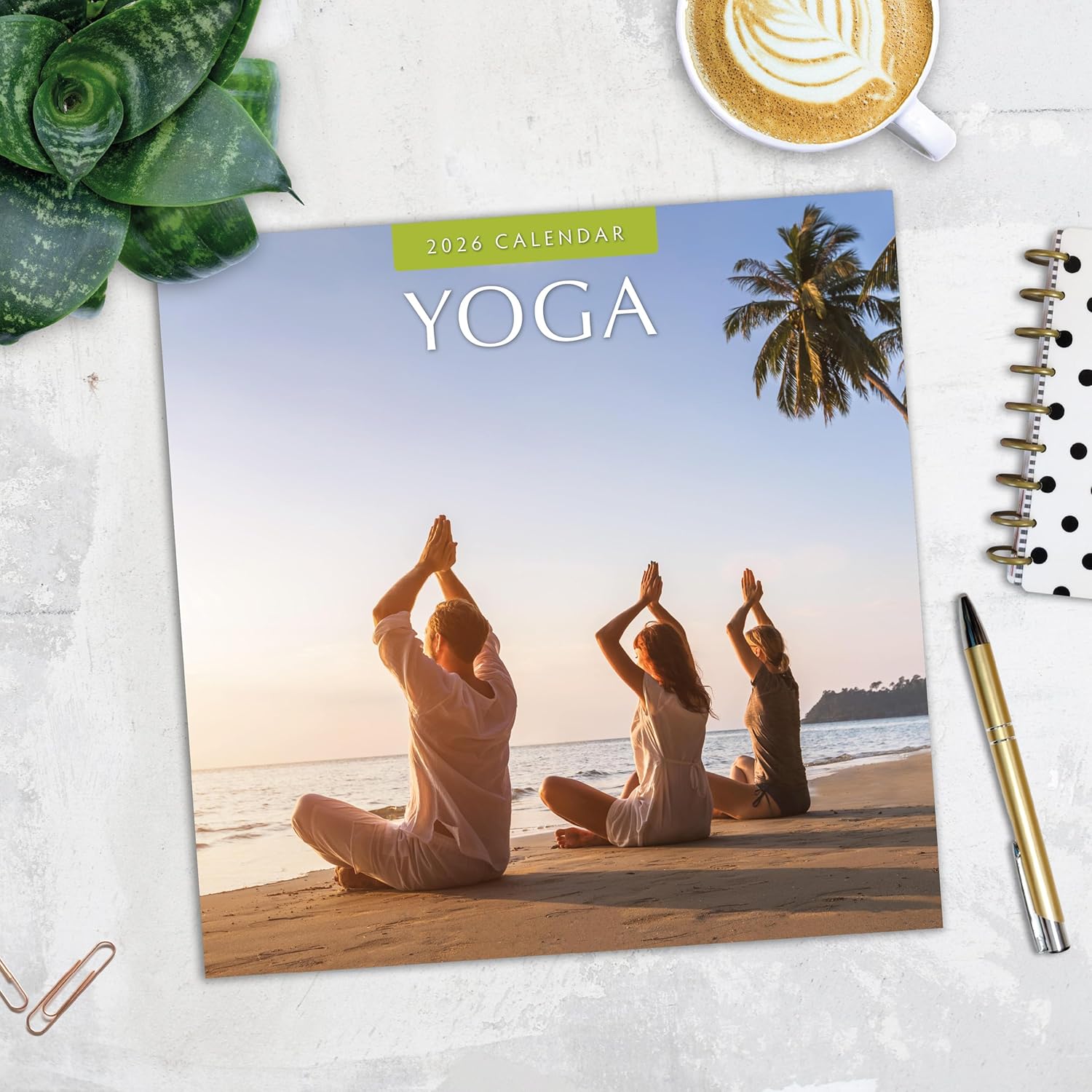 Red Robin 2026 Yoga Monthly Wall Calendar | 12" x 24" Open | Premium Thick & Sturdy Paper | Hangable 12 Month Calendar | Lined Notes & To Do Area | Vivid Images | Plastic Free