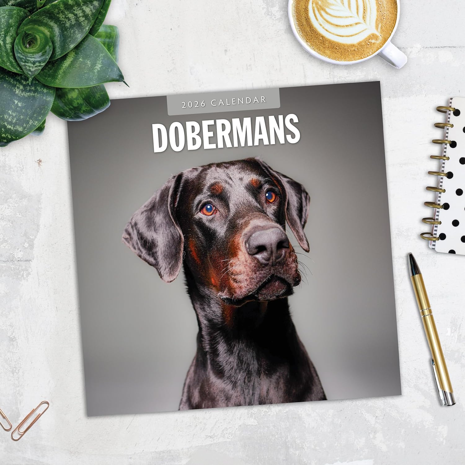 Red Robin 2026 Dobermans Monthly Wall Calendar | 12" x 24" Open | Premium Thick & Sturdy Paper | Hangable 12 Month Calendar | Lined Notes & To Do Area | Vivid Images | Plastic Free