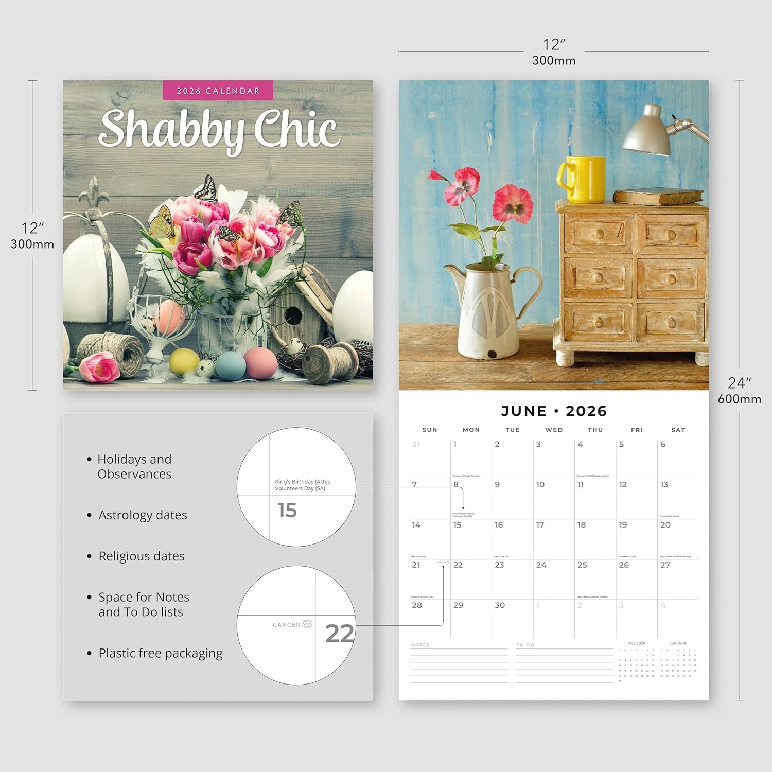 Red Robin 2026 Shabby Chic Monthly Wall Calendar | 12" x 24" Open | Premium Thick & Sturdy Paper | Hangable 12 Month Calendar | Lined Notes & To Do Area | Vivid Images | Plastic Free