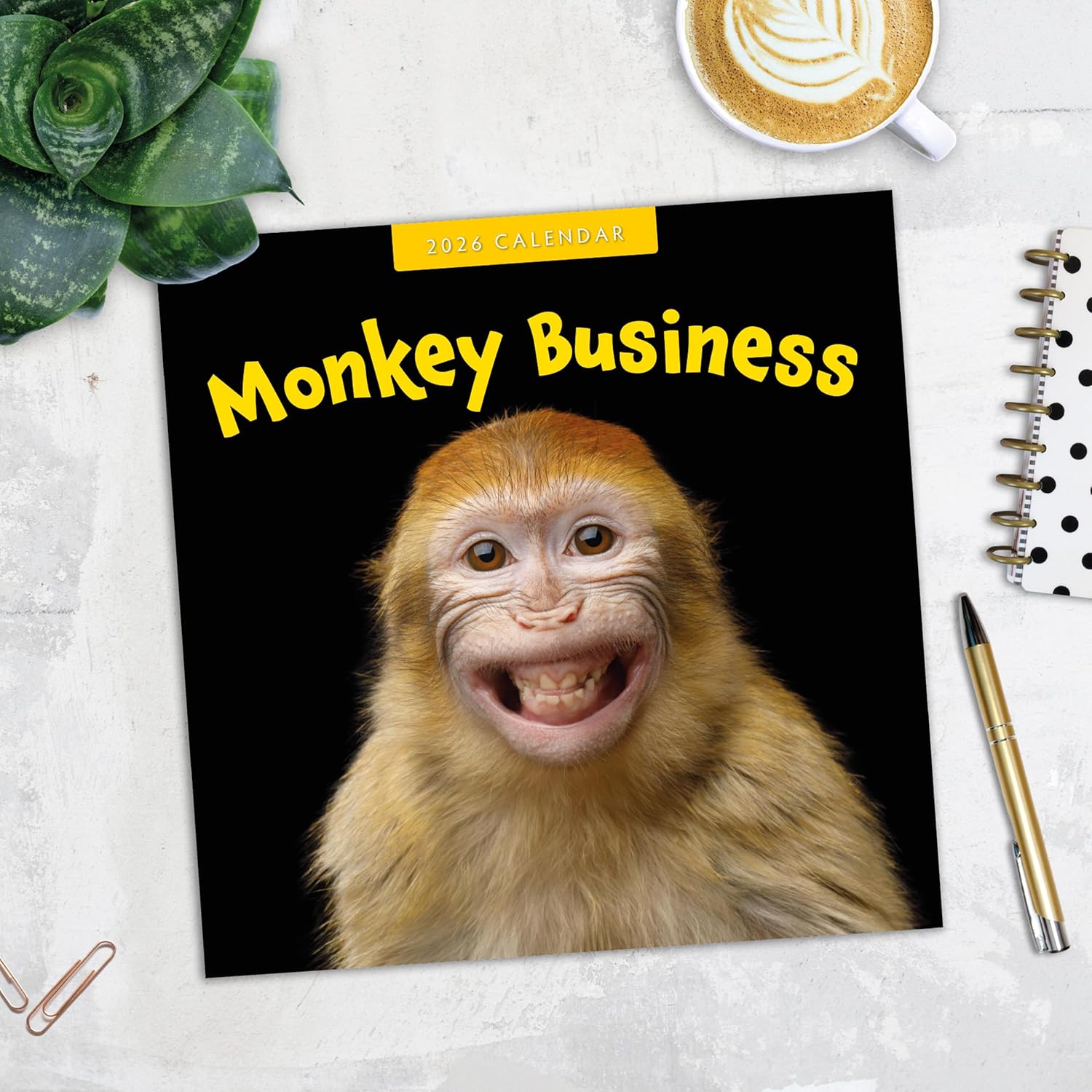 Red Robin 2026 Monkey Business Monthly Wall Calendar | 12" x 24" Open | Premium Thick & Sturdy Paper | Hangable 12 Month Calendar | Lined Notes & To Do Area | Vivid Images | Plastic Free