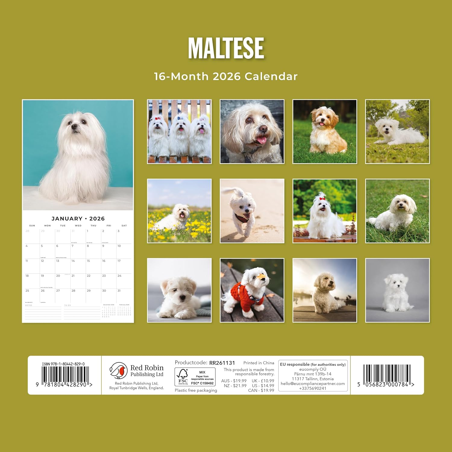 Red Robin 2026 Maltese Monthly Wall Calendar | 12" x 24" Open | Premium Thick & Sturdy Paper | Hangable 12 Month Calendar | Lined Notes & To Do Area | Vivid Images | Plastic Free