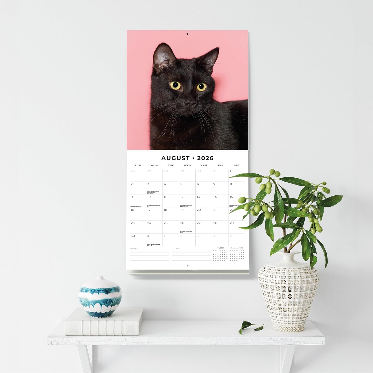 Black Cats - 2026 Square Wall Calendar - by Red Robin Publishing