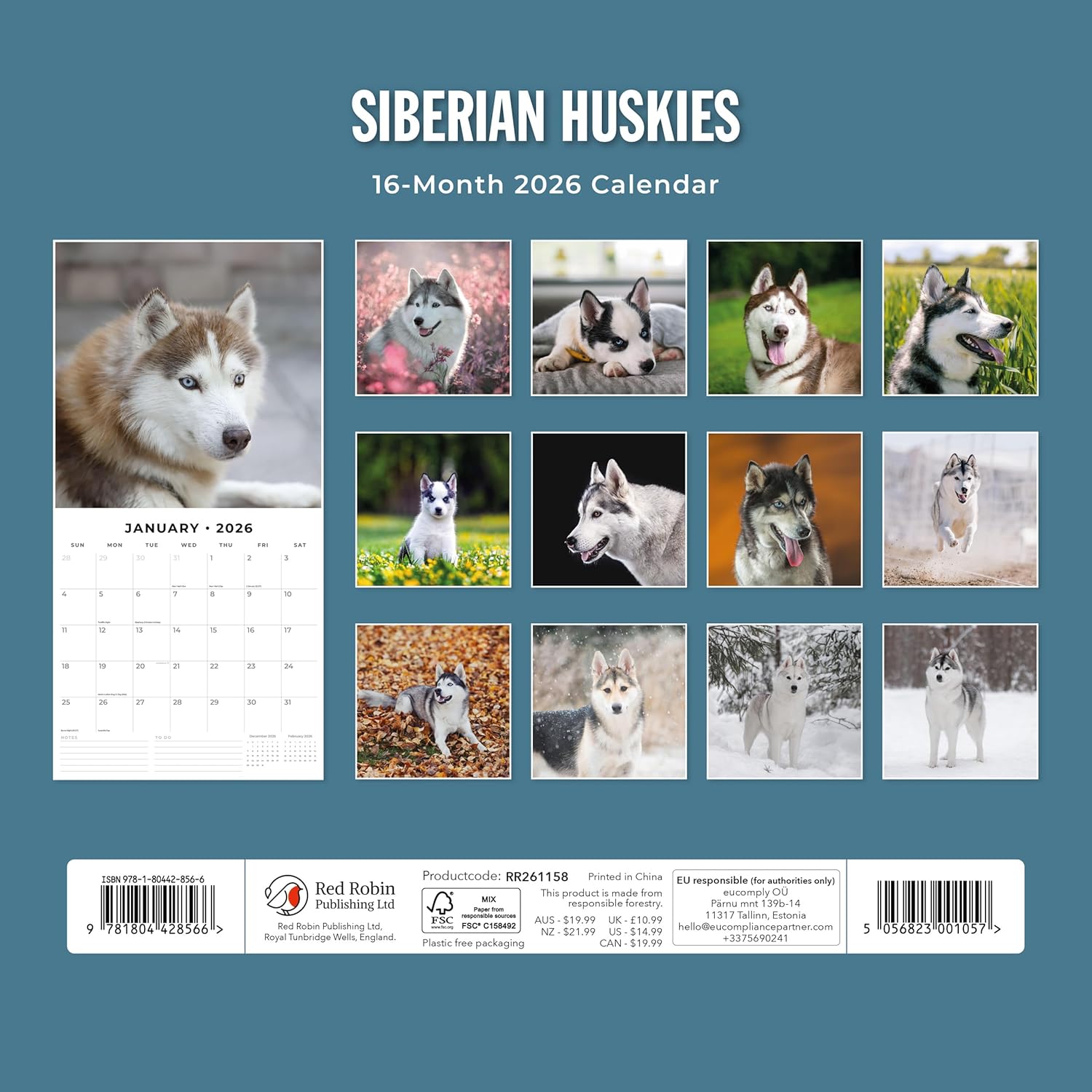 Red Robin 2026 Siberian Huskies Monthly Wall Calendar | 12" x 24" Open | Premium Thick & Sturdy Paper | Hangable 12 Month Calendar | Lined Notes & To Do Area | Vivid Images | Plastic Free