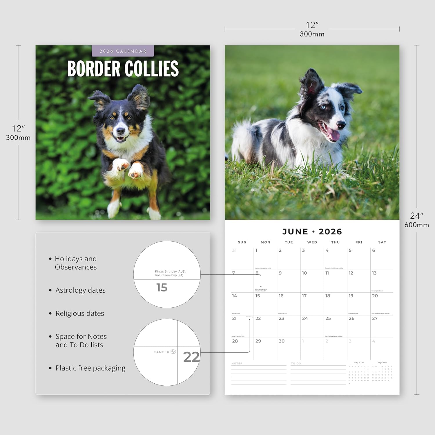 Red Robin 2026 Border Collies Monthly Wall Calendar | 12" x 24" Open | Premium Thick & Sturdy Paper | Hangable 12 Month Calendar | Lined Notes & To Do Area | Vivid Images | Plastic Free