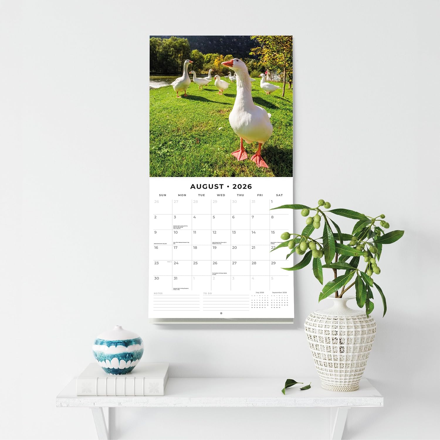 Red Robin 2026 On The Farm Monthly Wall Calendar | 12" x 24" Open | Premium Thick & Sturdy Paper | Hangable 12 Month Calendar | Lined Notes & To Do Area | Vivid Images | Plastic Free