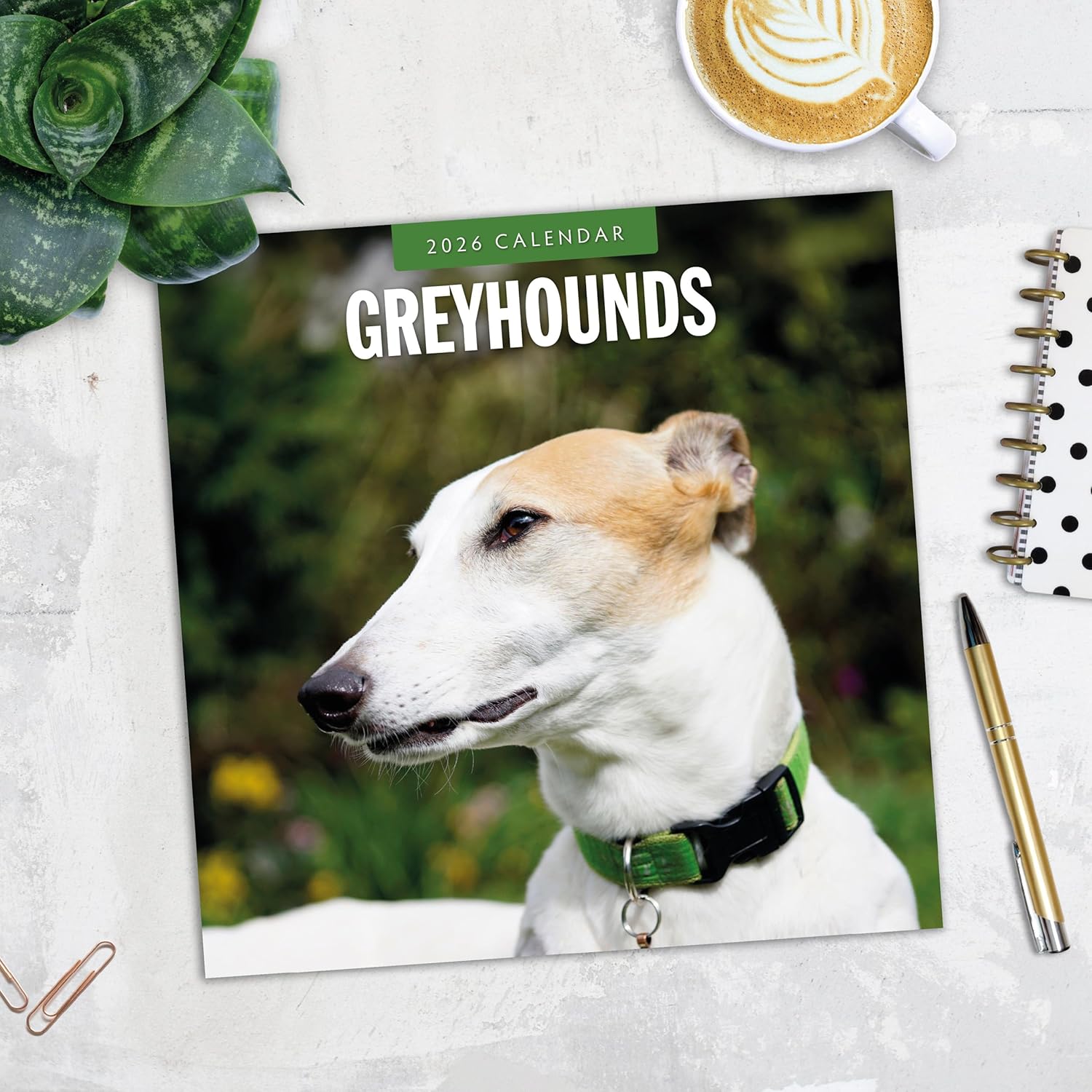 Red Robin 2026 Greyhounds Monthly Wall Calendar | 12" x 24" Open | Premium Thick & Sturdy Paper | Hangable 12 Month Calendar | Lined Notes & To Do Area | Vivid Images | Plastic Free