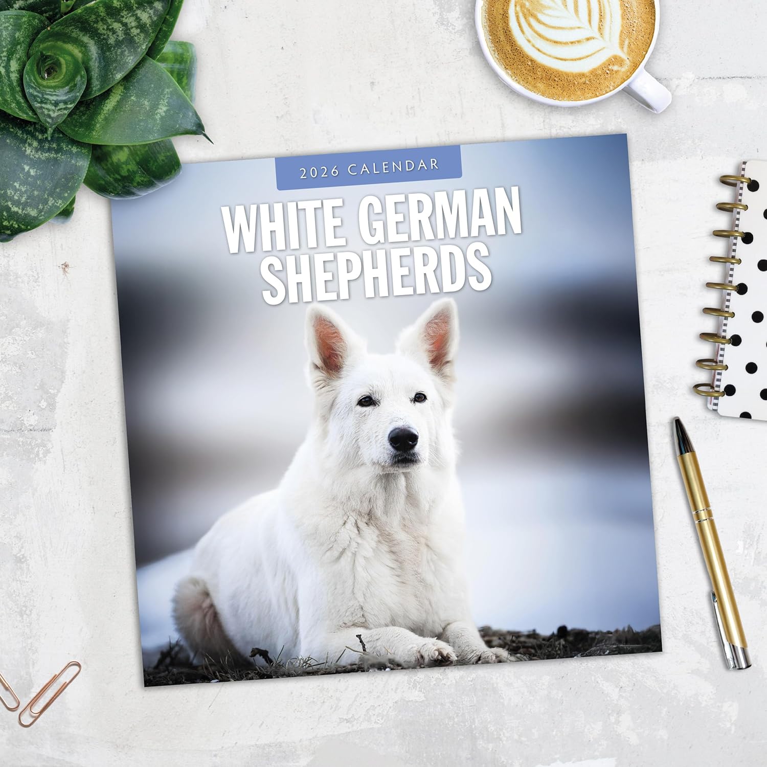 Red Robin 2026 White German Shepherds Monthly Wall Calendar | 12" x 24" Open | Premium Thick & Sturdy Paper | Hangable 12 Month Calendar | Lined Notes & To Do Area | Vivid Images | Plastic Free