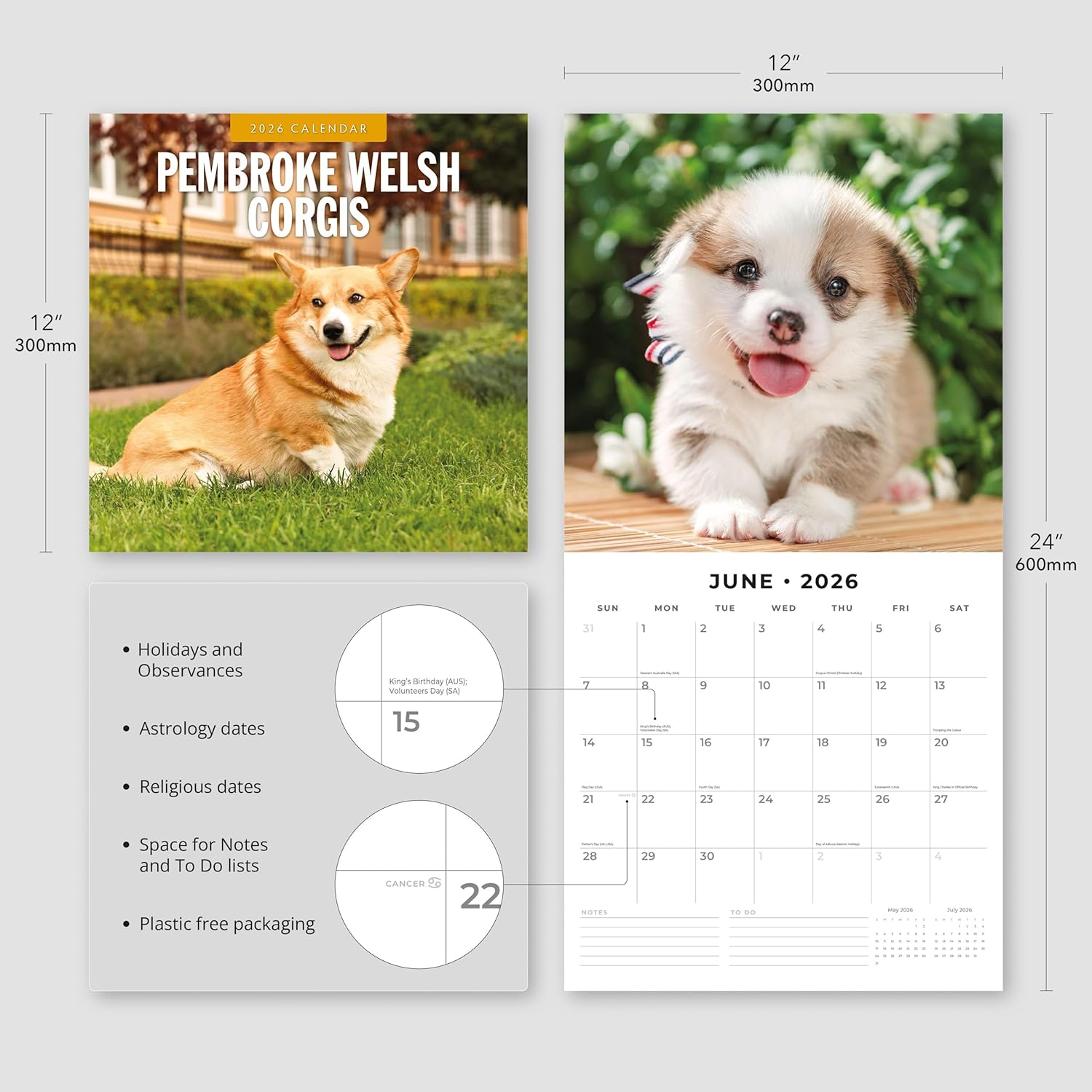 Red Robin 2026 Pembroke Welsh Corgis Monthly Wall Calendar | 12" x 24" Open | Premium Thick & Sturdy Paper | Hangable 12 Month Calendar | Lined Notes & To Do Area | Vivid Images | Plastic Free