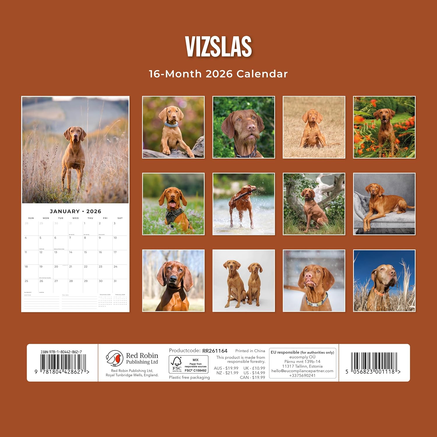 Red Robin 2026 Vizslas Monthly Wall Calendar | 12" x 24" Open | Premium Thick & Sturdy Paper | Hangable 12 Month Calendar | Lined Notes & To Do Area | Vivid Images | Plastic Free