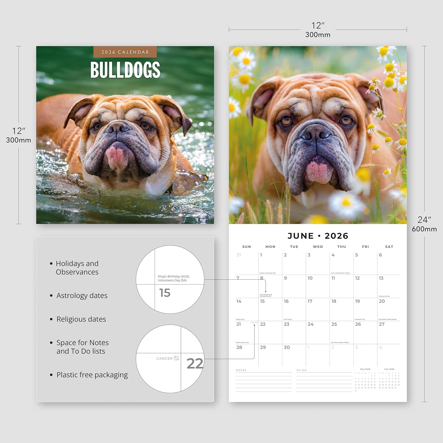 Red Robin 2026 Bulldogs Monthly Wall Calendar | 12" x 24" Open | Premium Thick & Sturdy Paper | Hangable 12 Month Calendar | Lined Notes & To Do Area | Vivid Images | Plastic Free