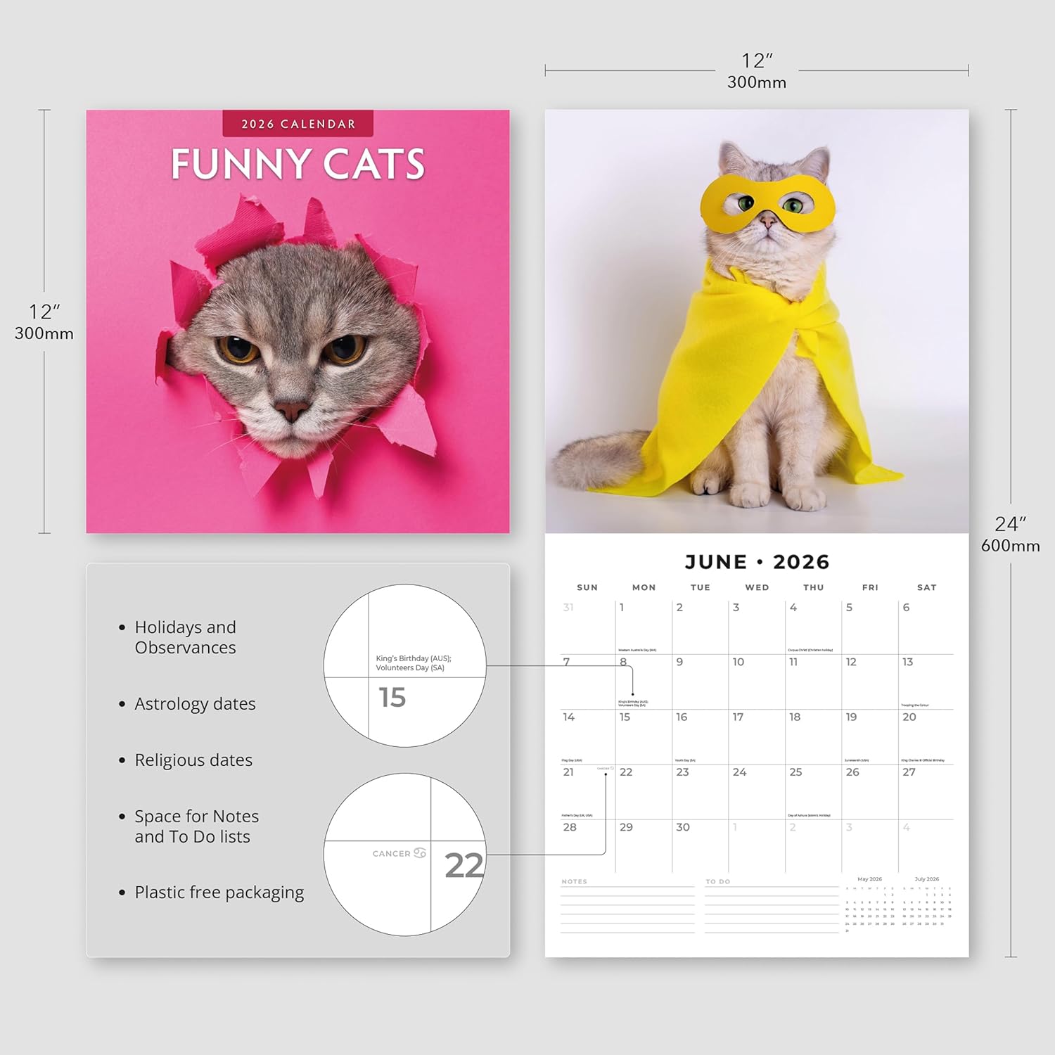 Red Robin 2026 Funny Cats Monthly Wall Calendar | 12" x 24" Open | Premium Thick & Sturdy Paper | Hangable 12 Month Calendar | Lined Notes & To Do Area | Vivid Images | Plastic Free