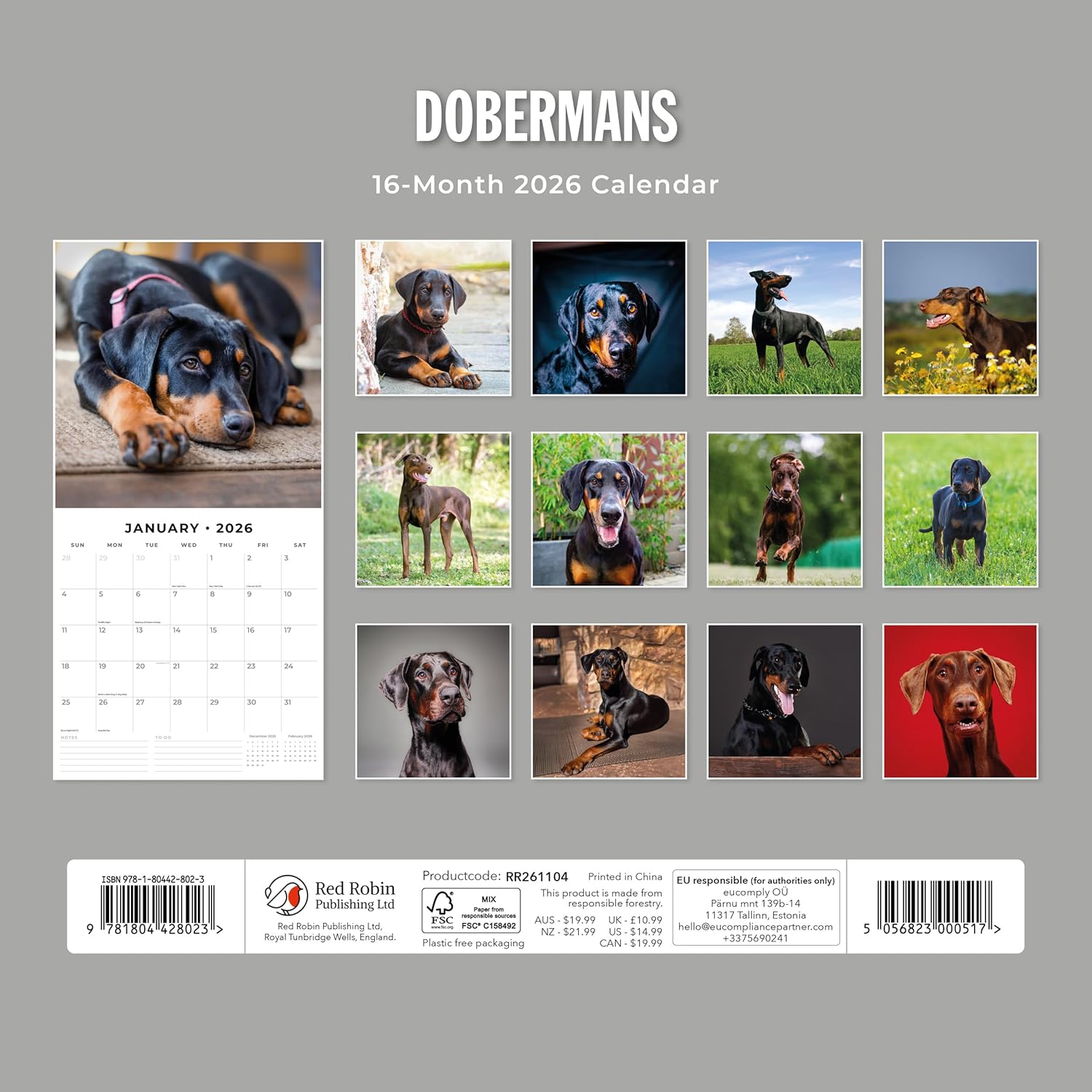 Red Robin 2026 Dobermans Monthly Wall Calendar | 12" x 24" Open | Premium Thick & Sturdy Paper | Hangable 12 Month Calendar | Lined Notes & To Do Area | Vivid Images | Plastic Free