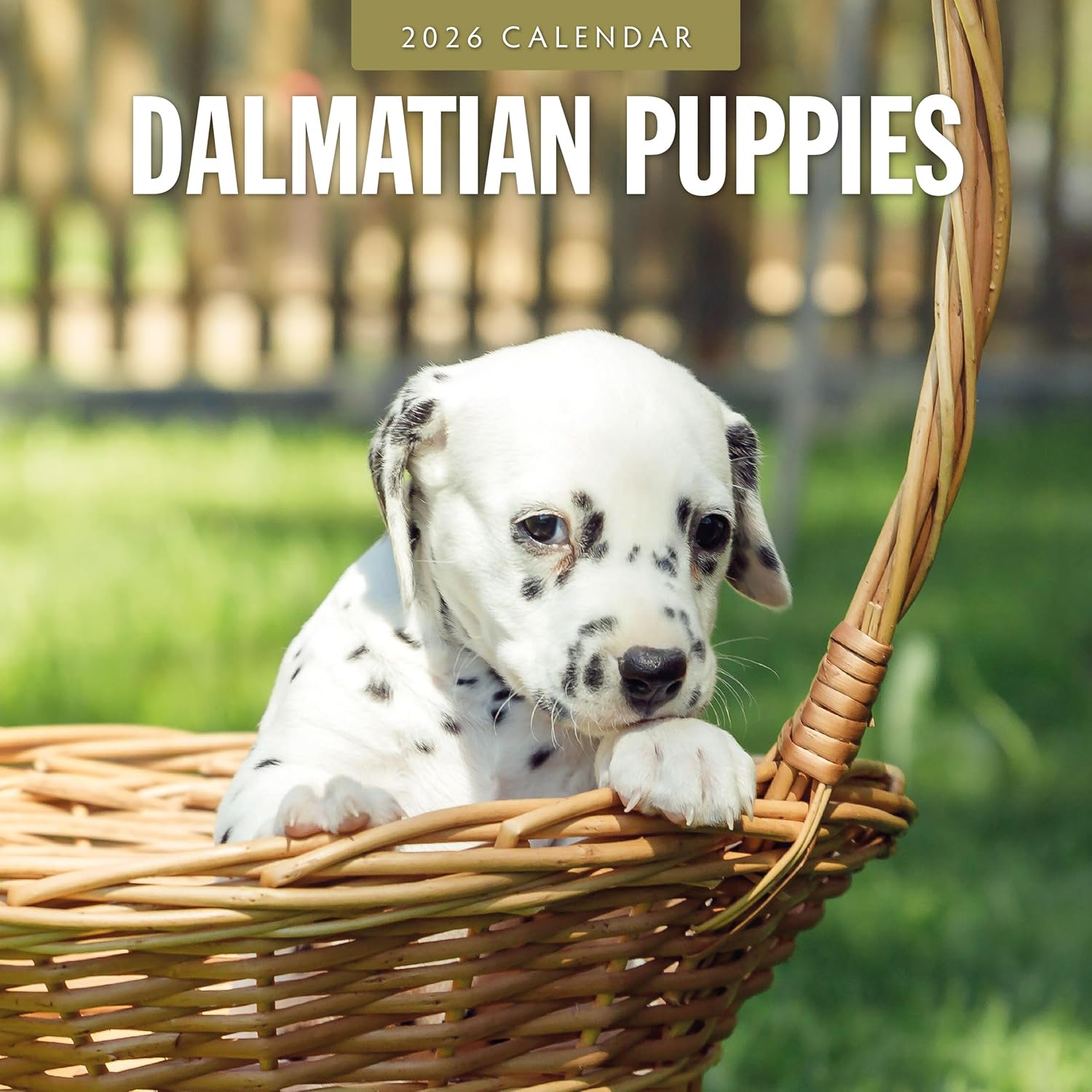 Red Robin 2026 Dalmatian Puppies Monthly Wall Calendar | 12" x 24" Open | Premium Thick & Sturdy Paper | Hangable 12 Month Calendar | Lined Notes & To Do Area | Vivid Images | Plastic Free