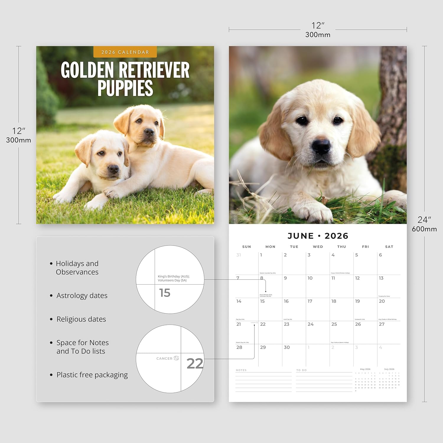 Red Robin 2026 Golden Retriever Puppies Monthly Wall Calendar | 12" x 24" Open | Premium Thick & Sturdy Paper | Hangable 12 Month Calendar | Lined Notes & To Do Area | Vivid Images | Plastic Free