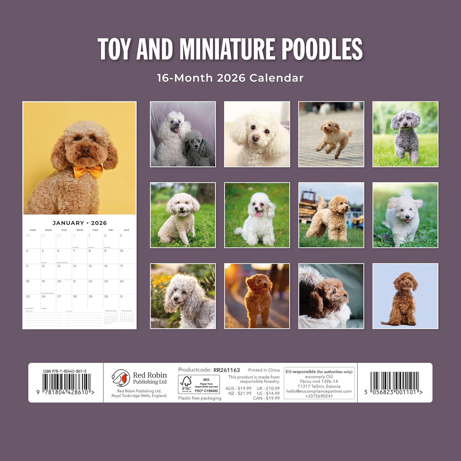 Red Robin 2026 Toy and Miniature Poodles Monthly Wall Calendar | 12" x 24" Open | Premium Thick & Sturdy Paper | Hangable 12 Month Calendar | Lined Notes & To Do Area | Vivid Images | Plastic Free