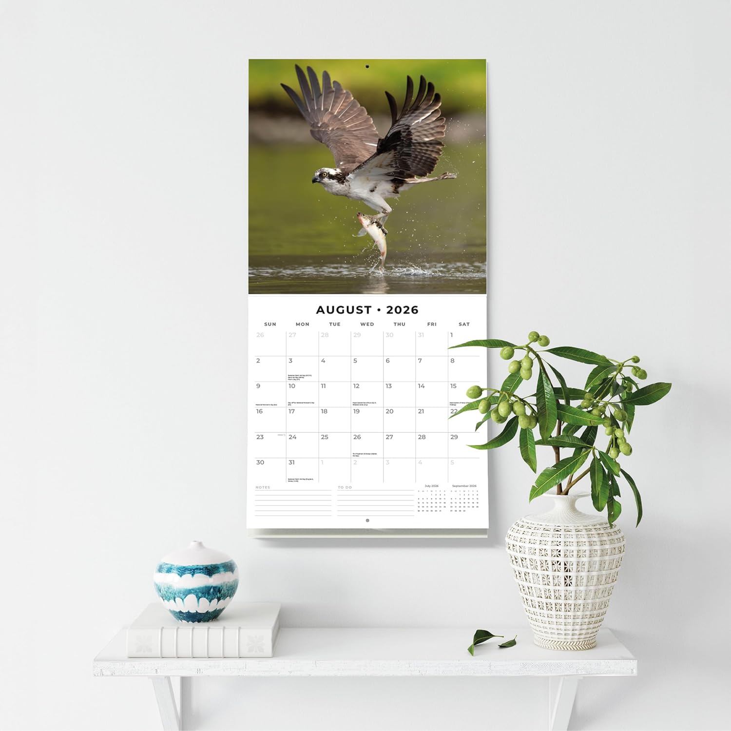 Birds Of Prey - 2026 Square Wall Calendar - by Red Robin Publishing