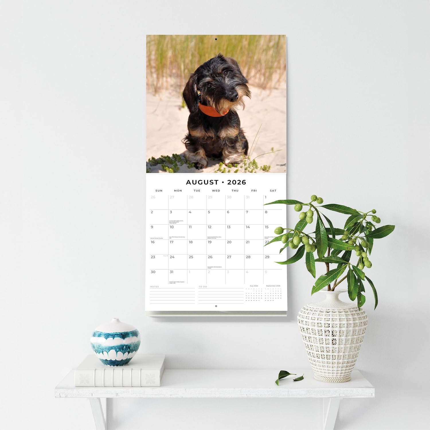 Red Robin 2026 Wire-haired Dachshunds Monthly Wall Calendar | 12" x 24" Open | Premium Thick & Sturdy Paper | Hangable 12 Month Calendar | Lined Notes & To Do Area | Vivid Images | Plastic Free
