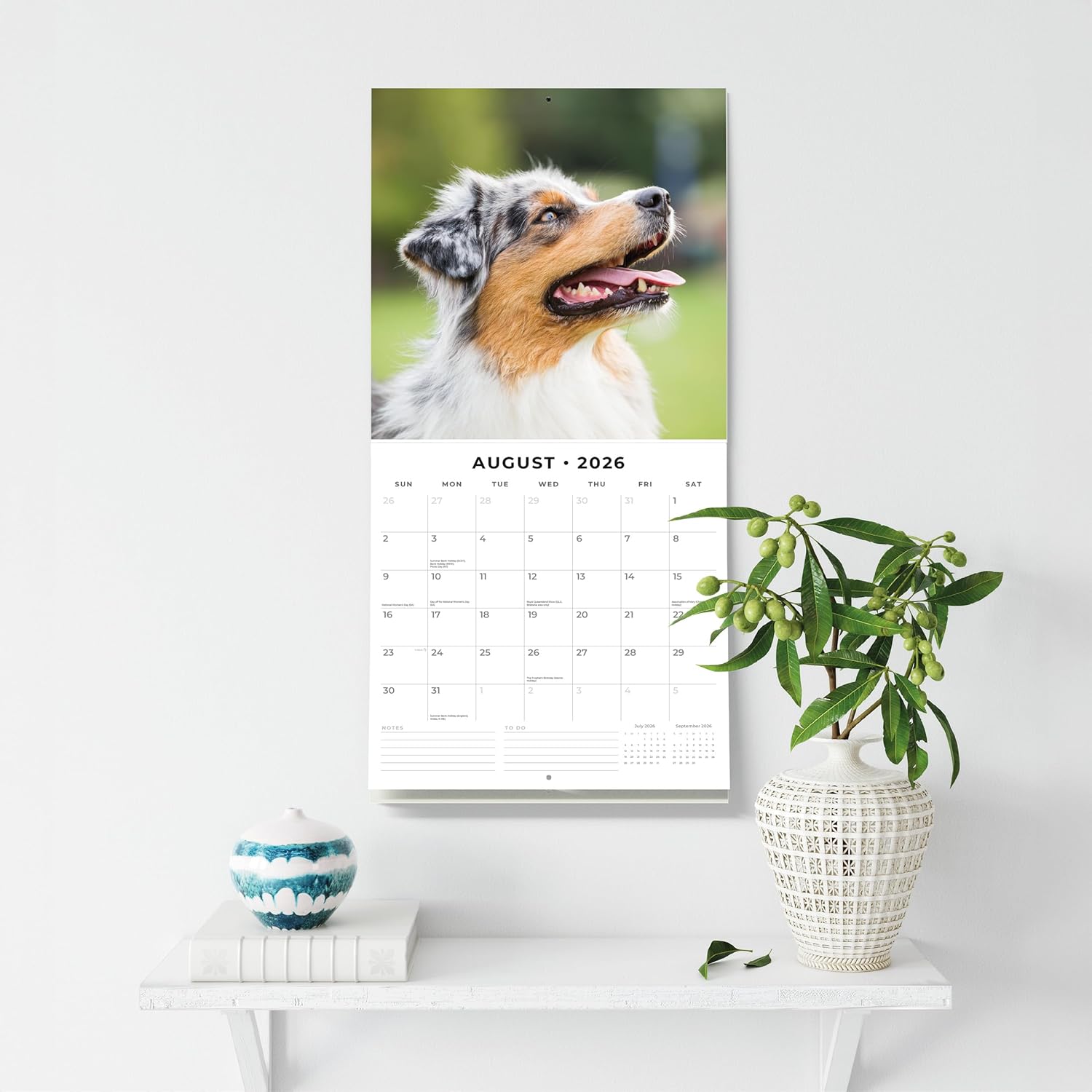 Red Robin 2026 Australian Shepherds Monthly Wall Calendar | 12" x 24" Open | Premium Thick & Sturdy Paper | Hangable 12 Month Calendar | Lined Notes & To Do Area | Vivid Images | Plastic Free