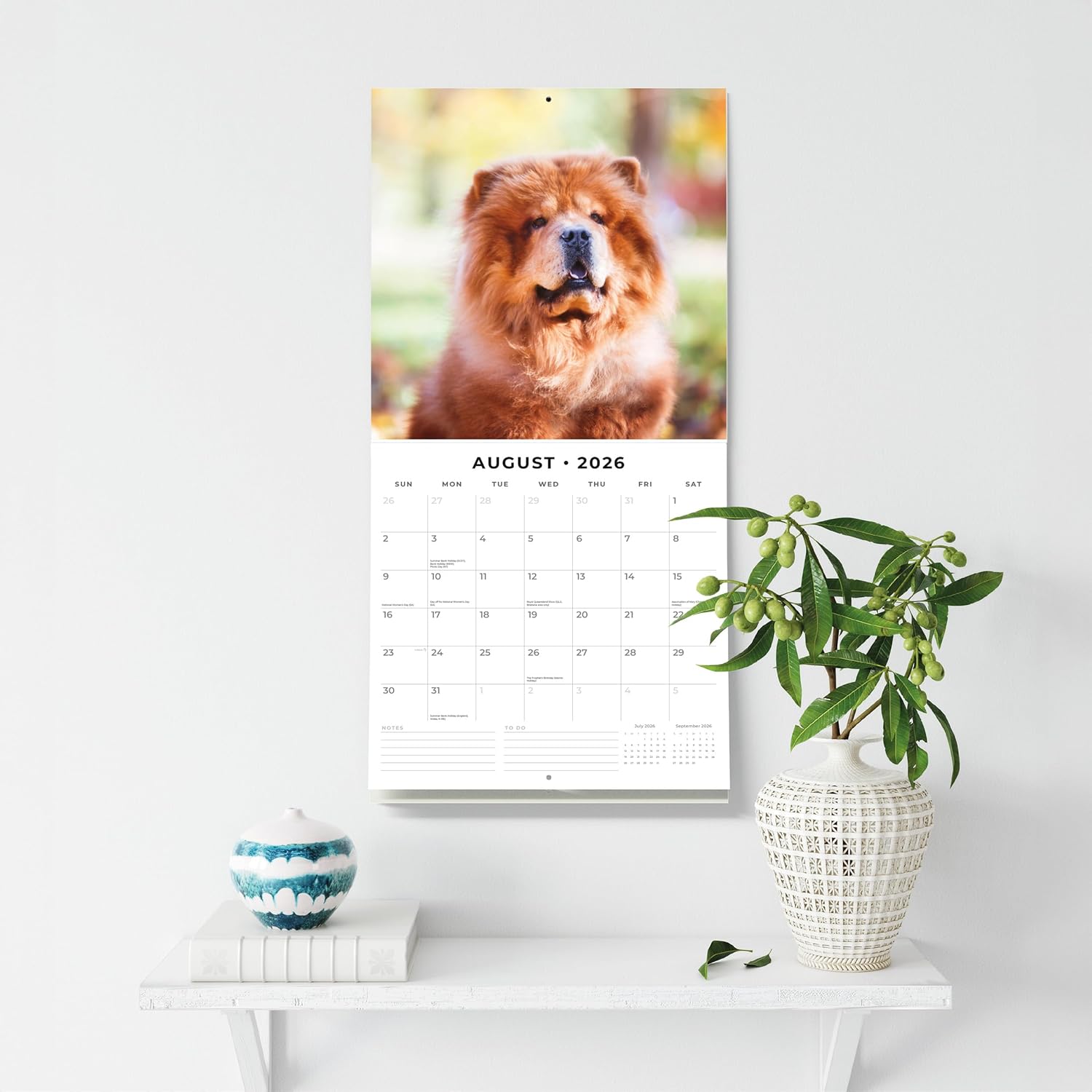 Red Robin 2026 Chow Chows Monthly Wall Calendar | 12" x 24" Open | Premium Thick & Sturdy Paper | Hangable 12 Month Calendar | Lined Notes & To Do Area | Vivid Images | Plastic Free