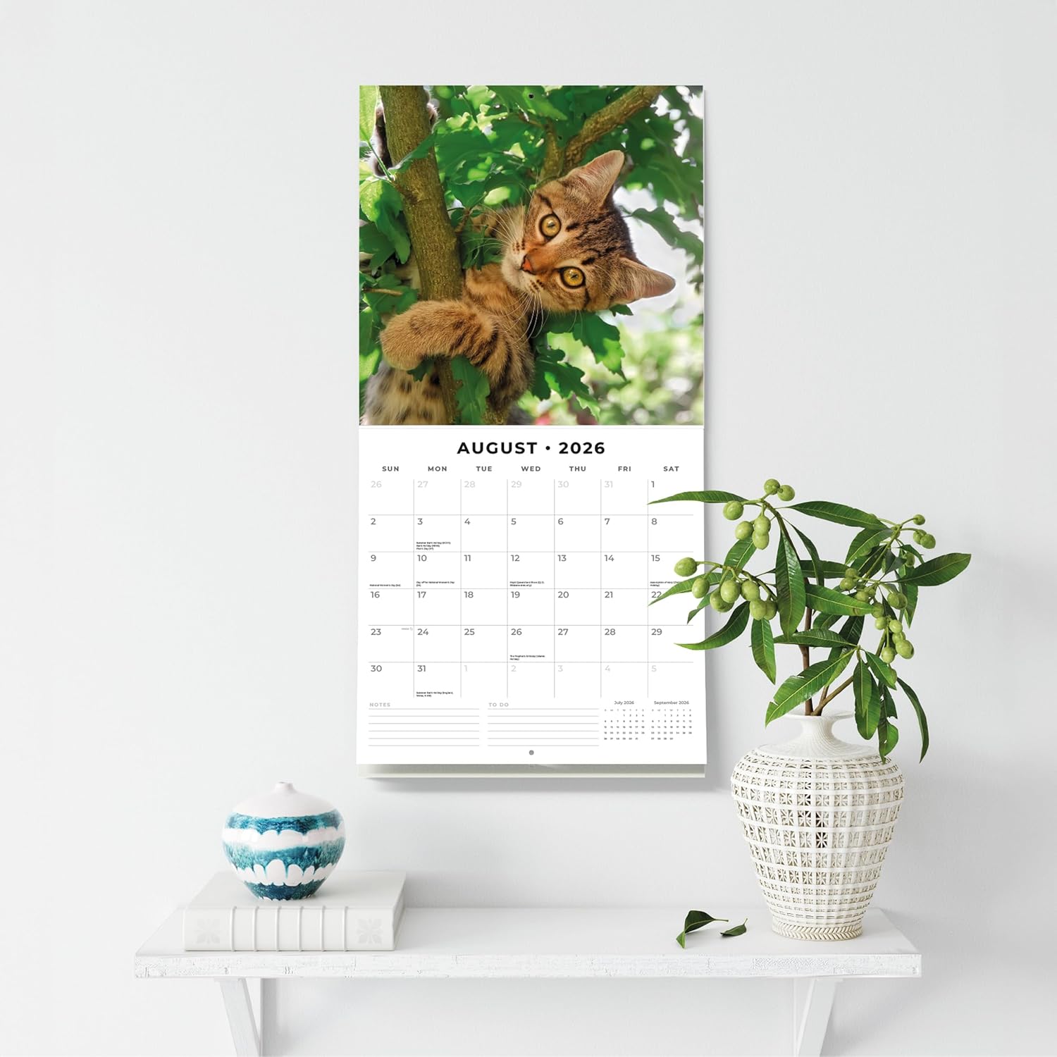 Adorable Cats - 2026 Square Wall Calendar - by Red Robin Publishing