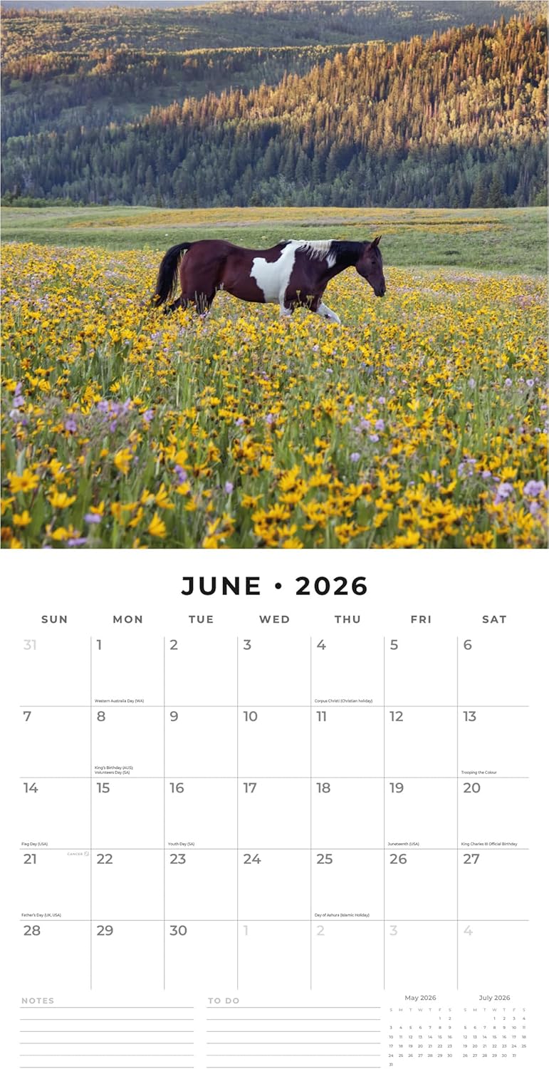 Red Robin 2026 Horses Monthly Wall Calendar | 12" x 24" Open | Premium Thick & Sturdy Paper | Hangable 12 Month Calendar | Lined Notes & To Do Area | Vivid Images | Plastic Free