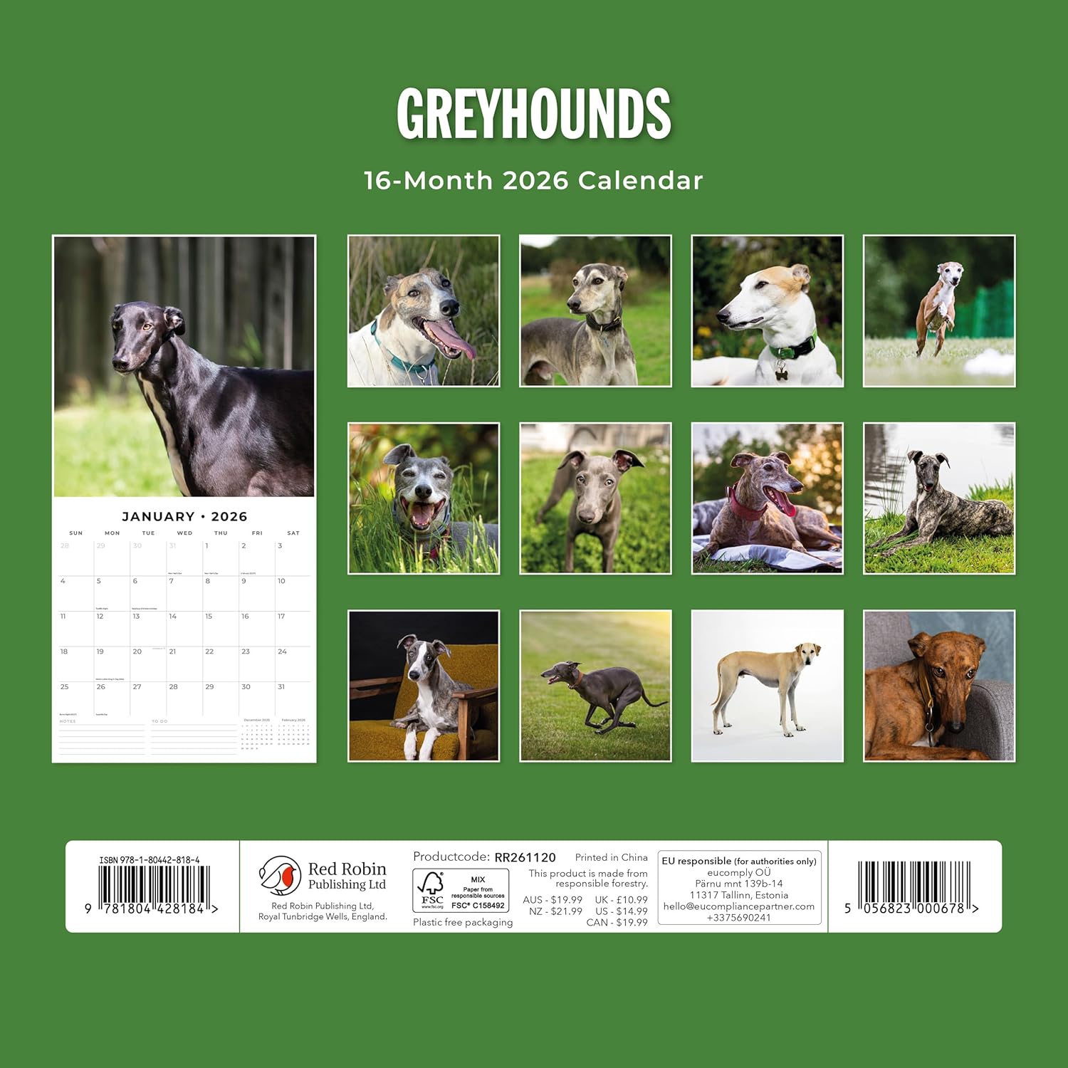 Red Robin 2026 Greyhounds Monthly Wall Calendar | 12" x 24" Open | Premium Thick & Sturdy Paper | Hangable 12 Month Calendar | Lined Notes & To Do Area | Vivid Images | Plastic Free