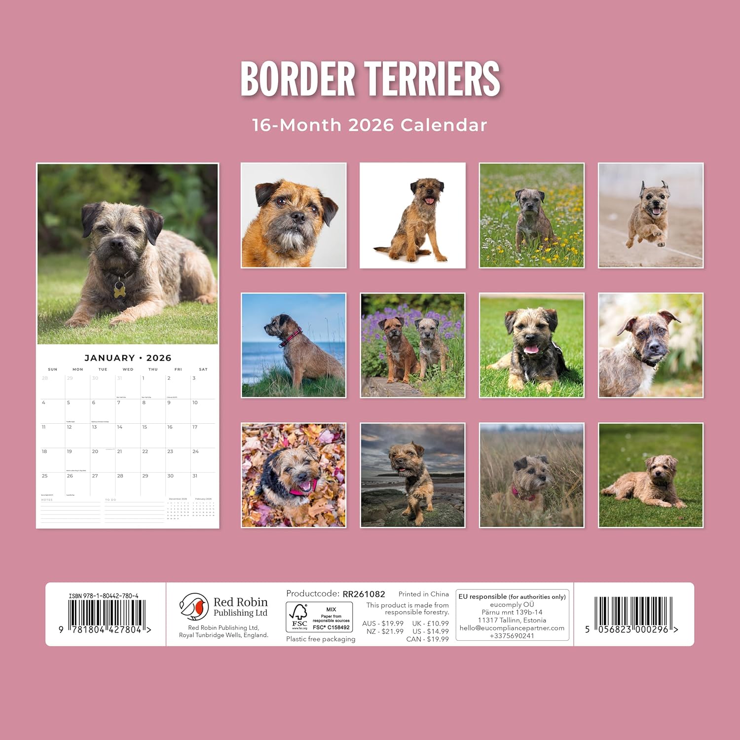 Red Robin 2026 Border Terriers Monthly Wall Calendar | 12" x 24" Open | Premium Thick & Sturdy Paper | Hangable 12 Month Calendar | Lined Notes & To Do Area | Vivid Images | Plastic Free