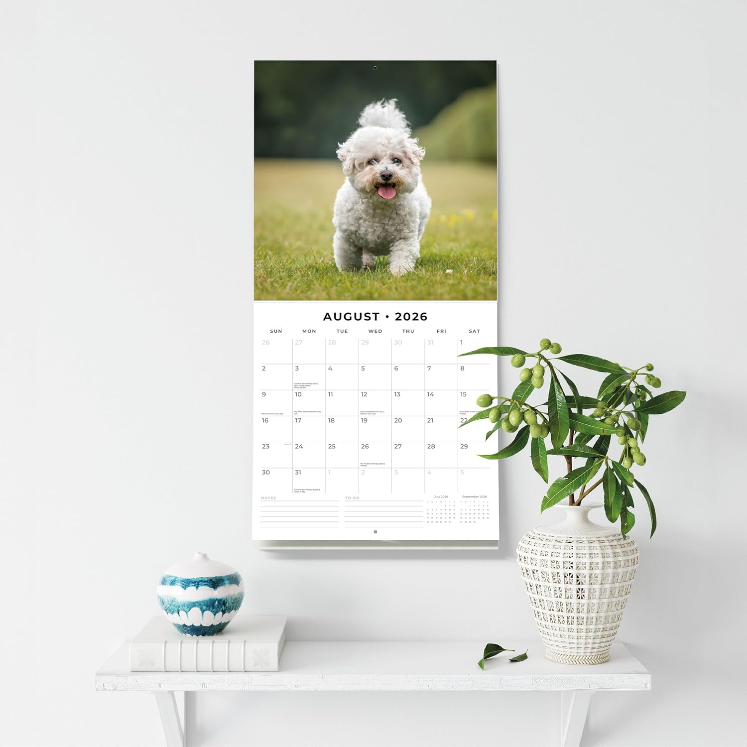 Red Robin 2026 Bichons Frises Monthly Wall Calendar | 12" x 24" Open | Premium Thick & Sturdy Paper | Hangable 12 Month Calendar | Lined Notes & To Do Area | Vivid Images | Plastic Free