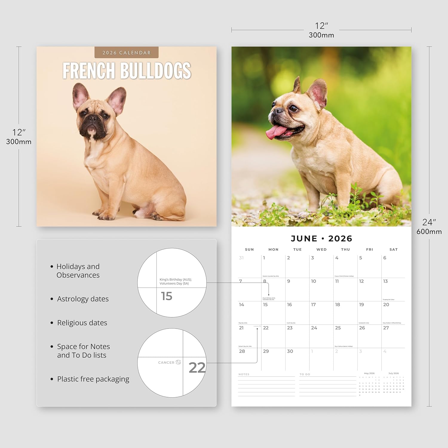 Red Robin 2026 French Bulldogs Monthly Wall Calendar | 12" x 24" Open | Premium Thick & Sturdy Paper | Hangable 12 Month Calendar | Lined Notes & To Do Area | Vivid Images | Plastic Free